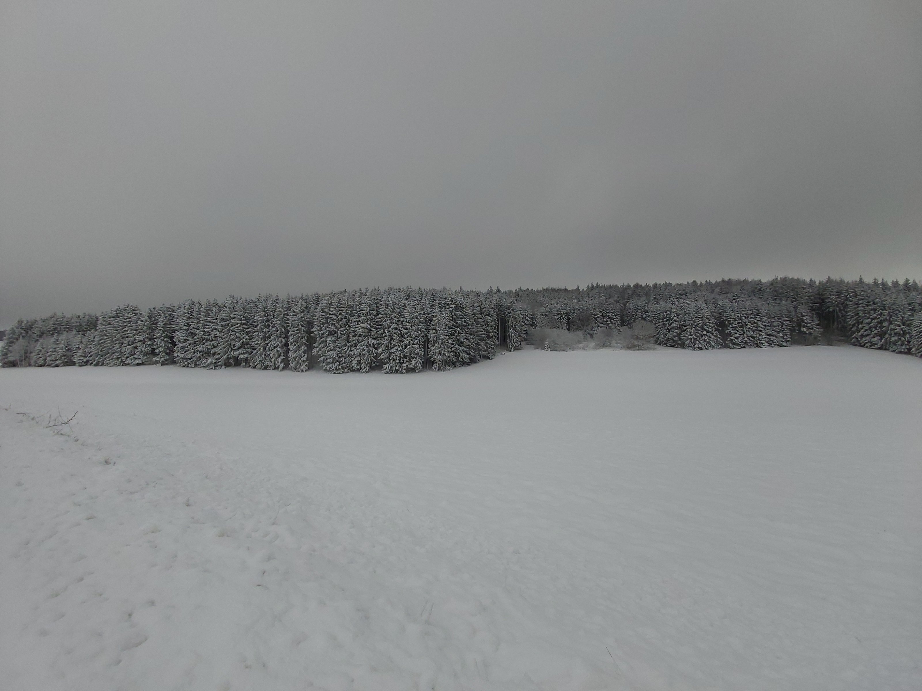 20201225_140103.jpg