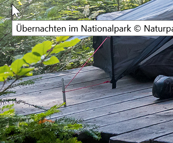 2021-04-19 11_50_48-Trekking-Camps - Nationalpark Schwarzwald.png