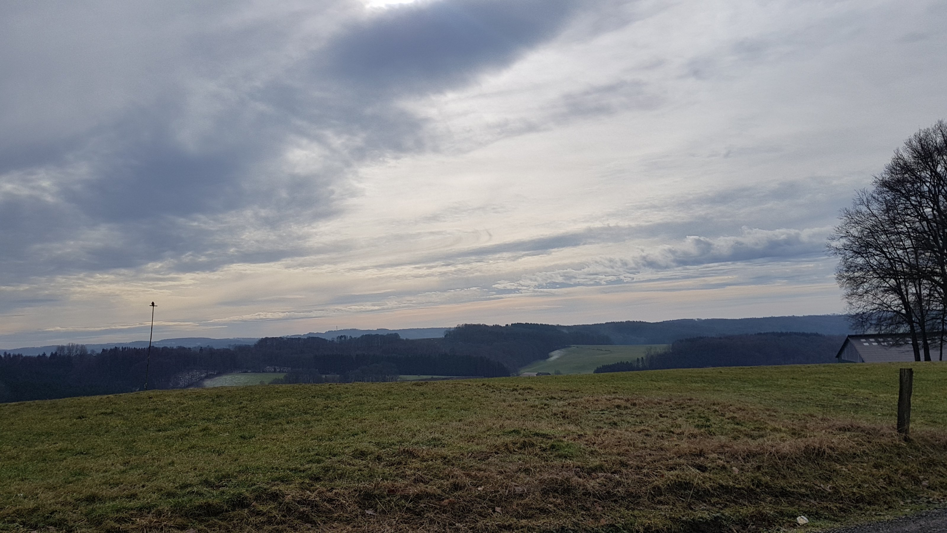 20210216_125031.jpg
