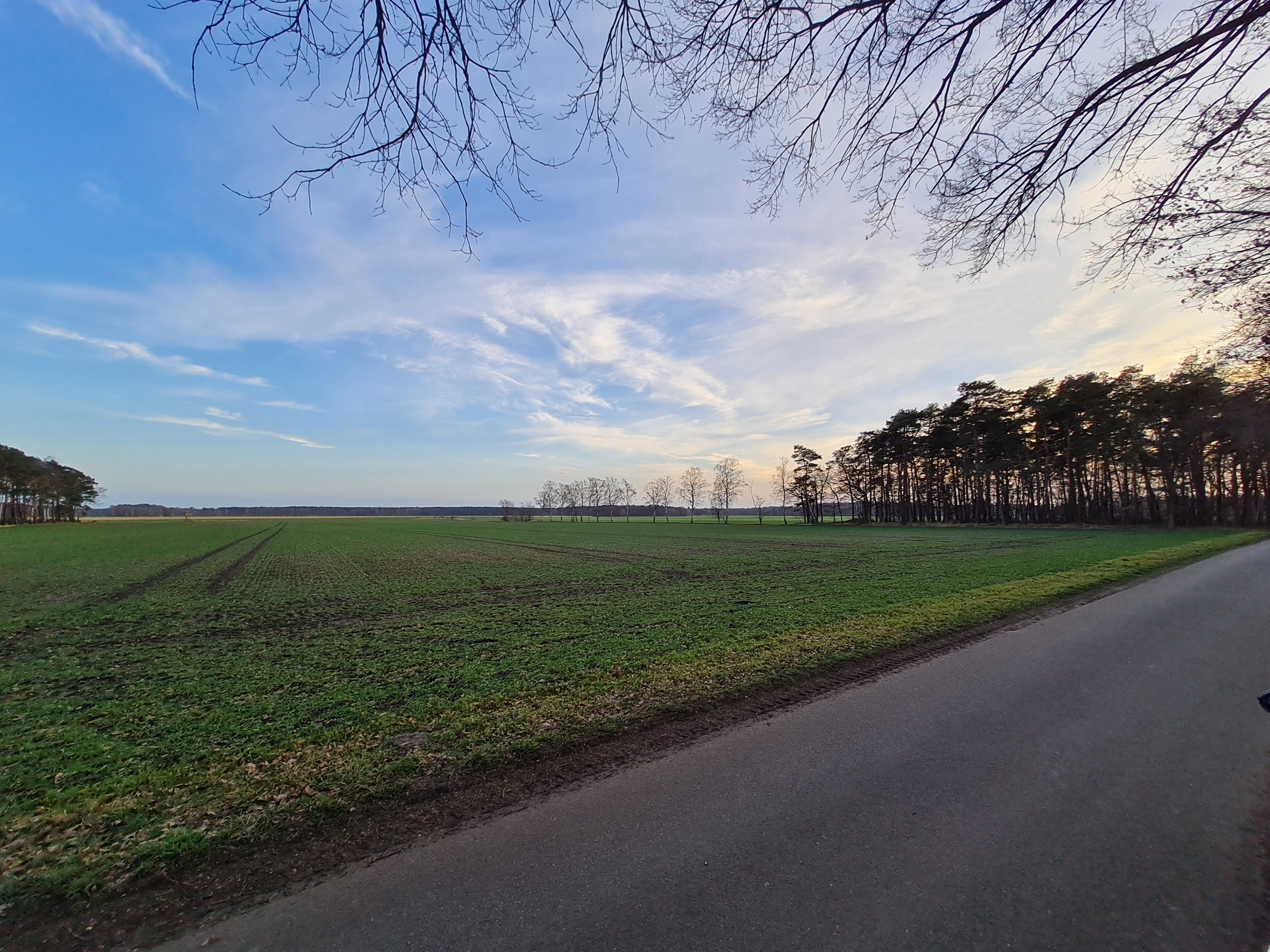 20210225_172615[1].jpg