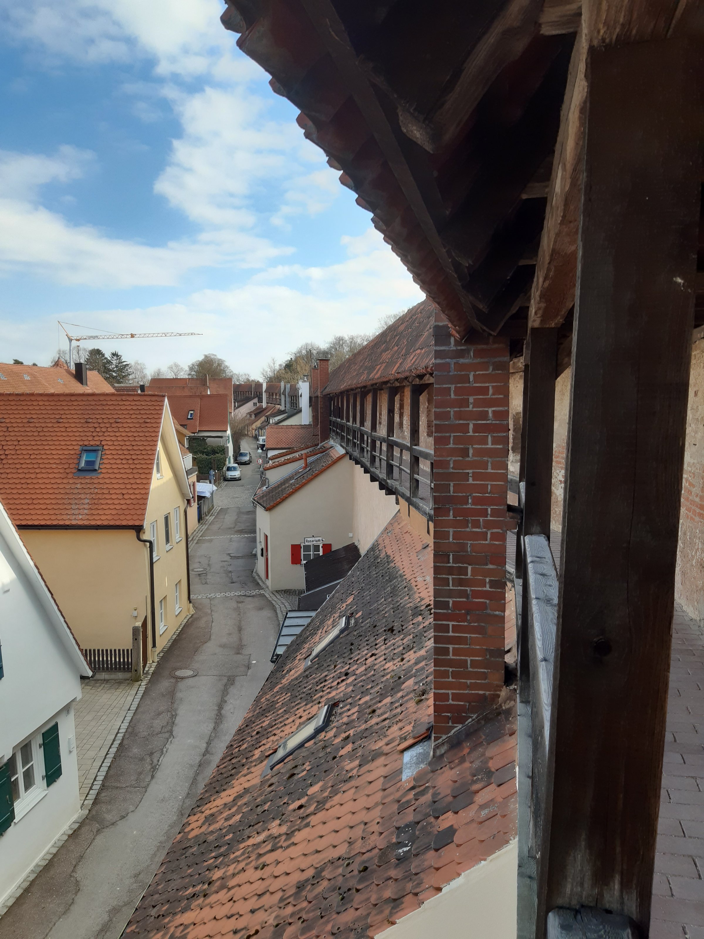 20210307_134833.jpg