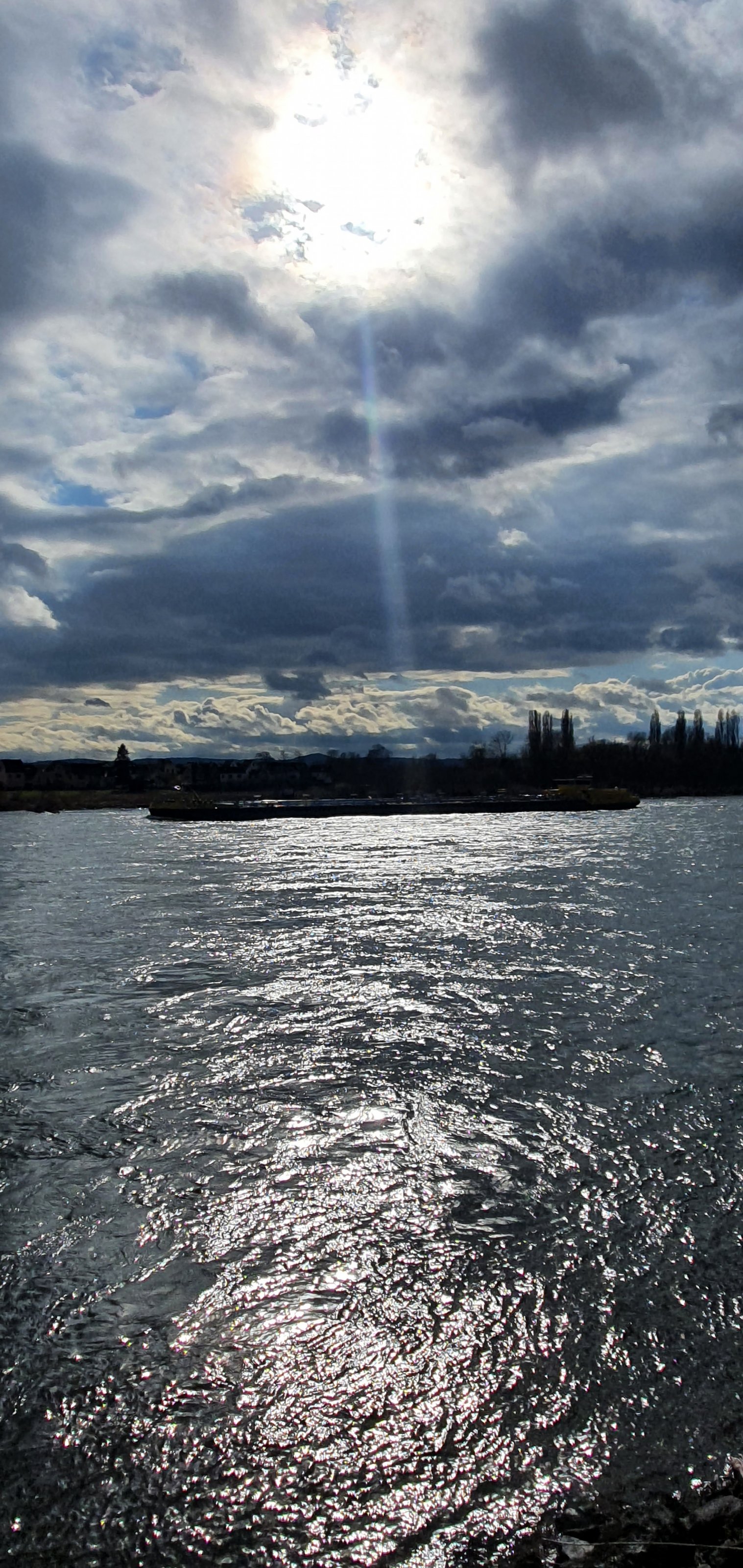 20210314_152403.jpg