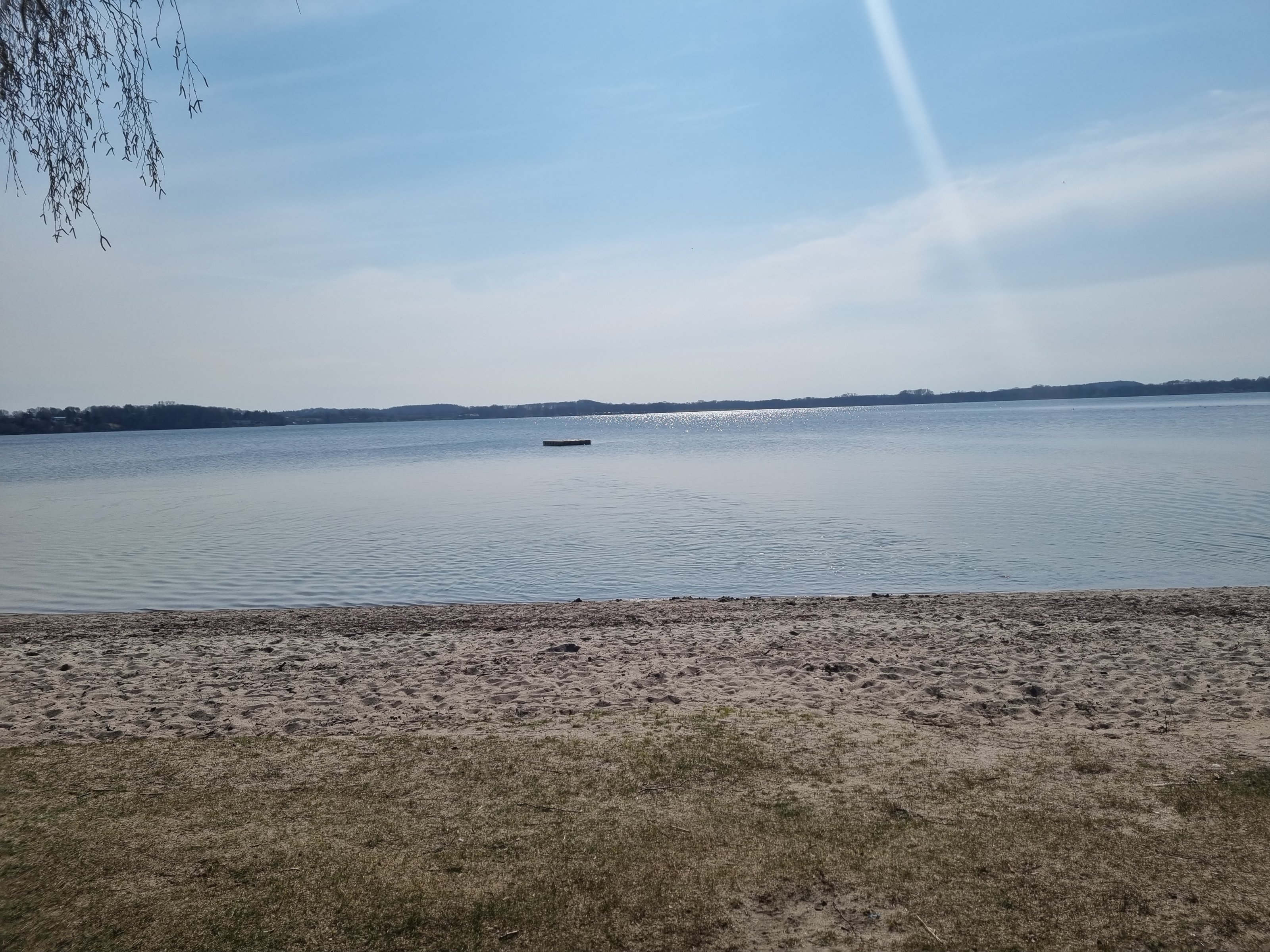 20210418_152353.jpg