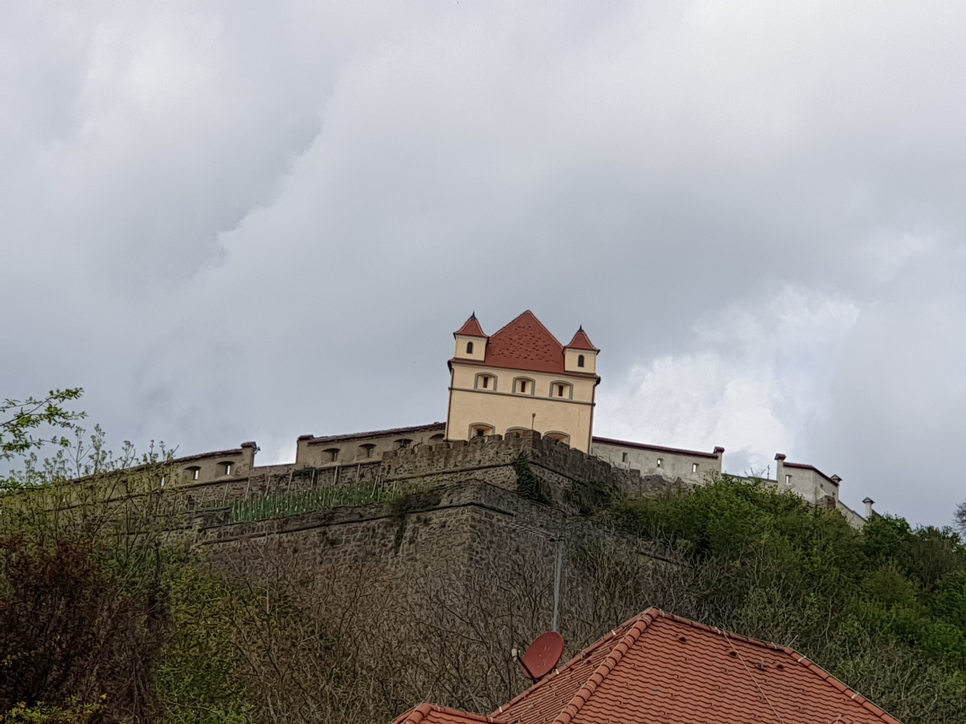 20210501_130239.jpg