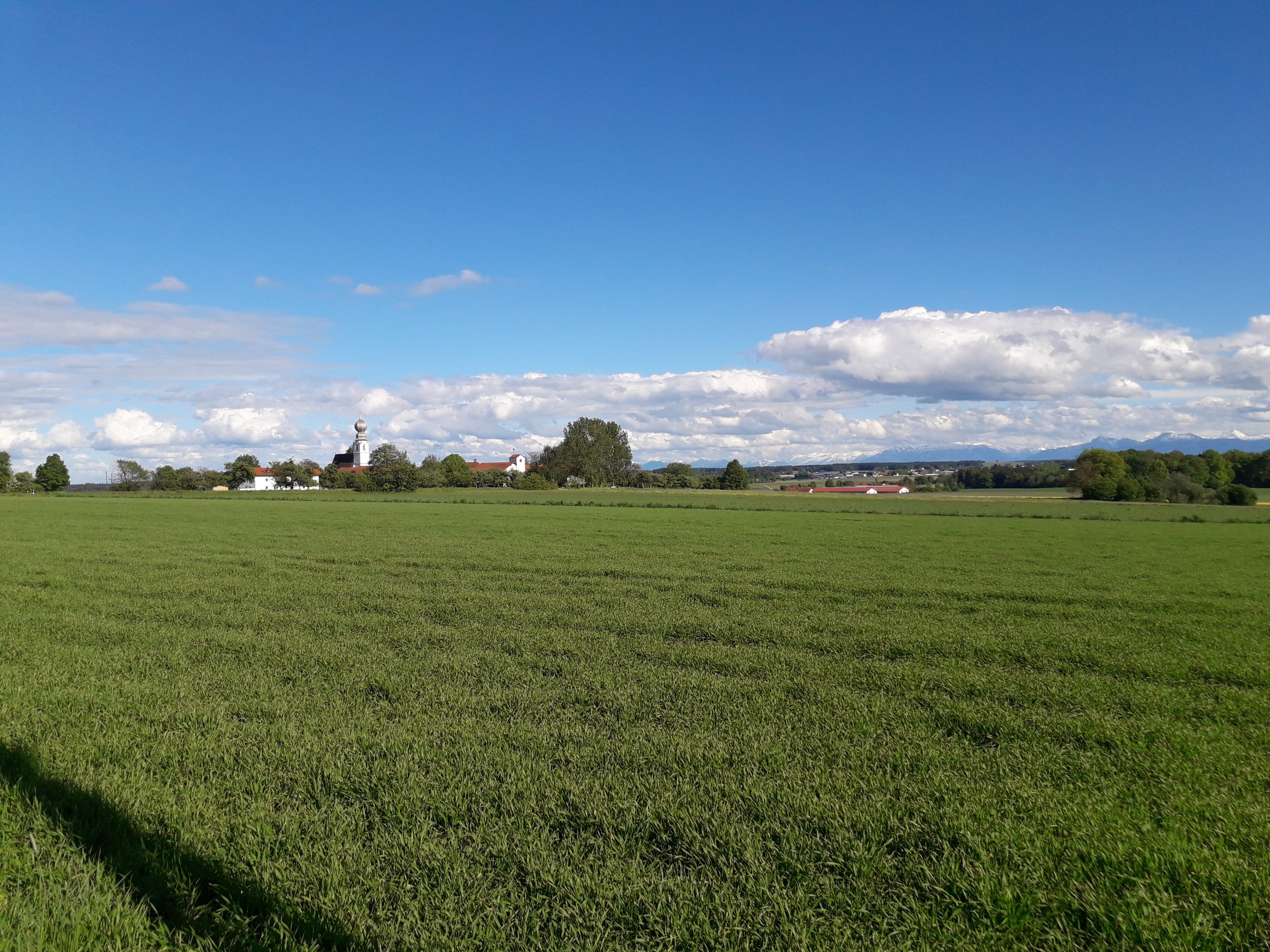 20210523_171356.jpg