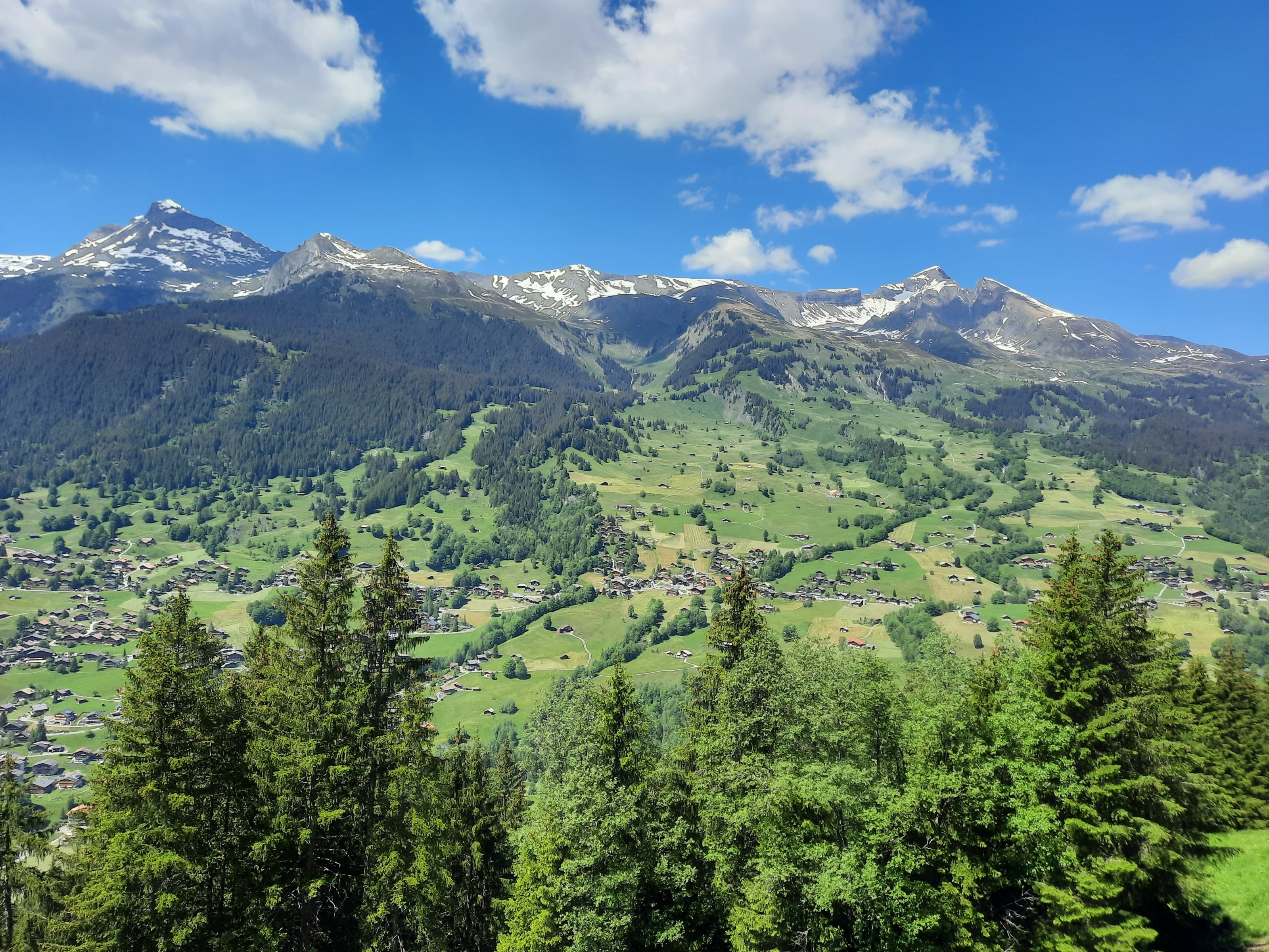 20210614_151101[1].jpg