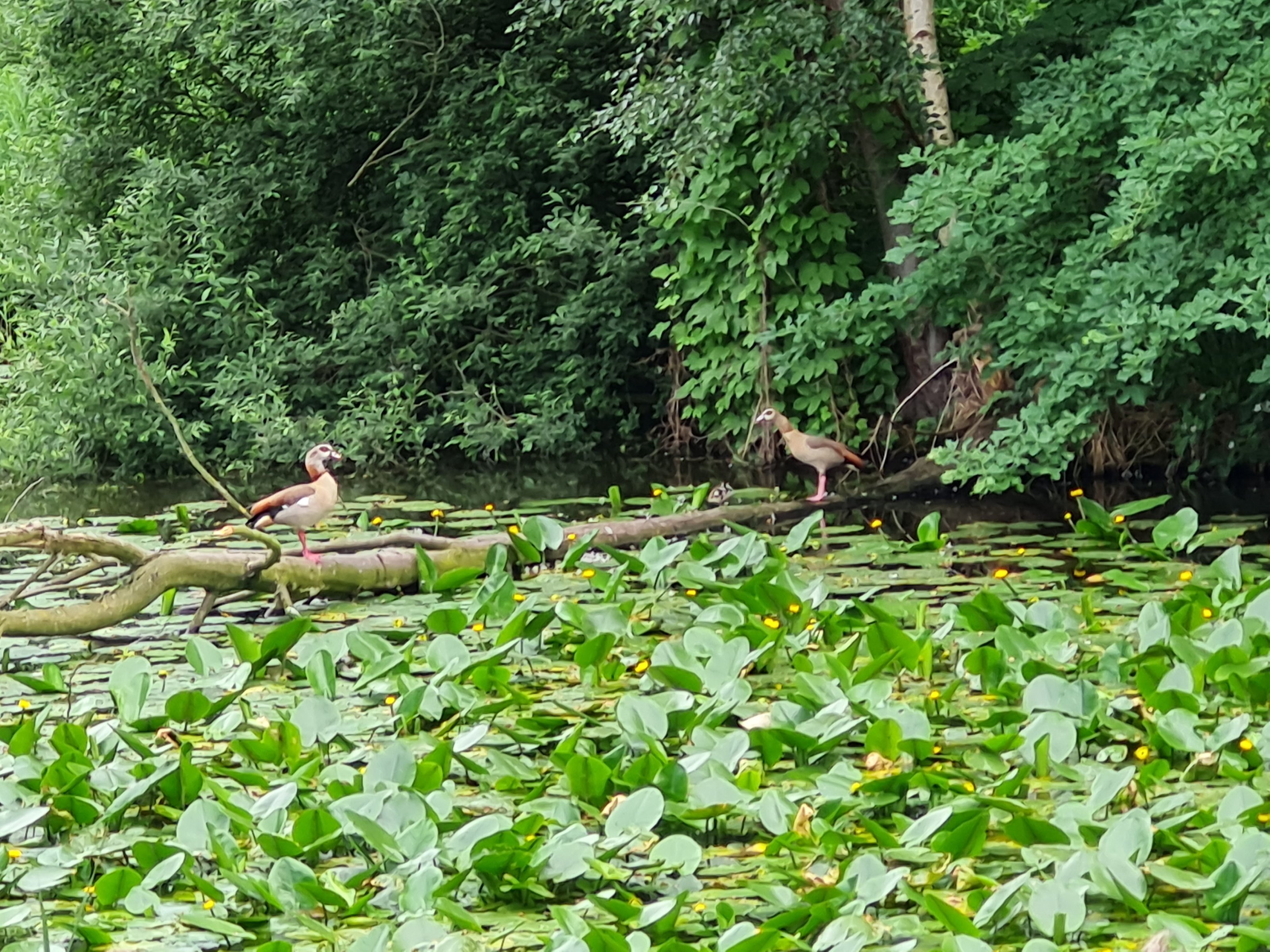 20210619_180812[1].jpg