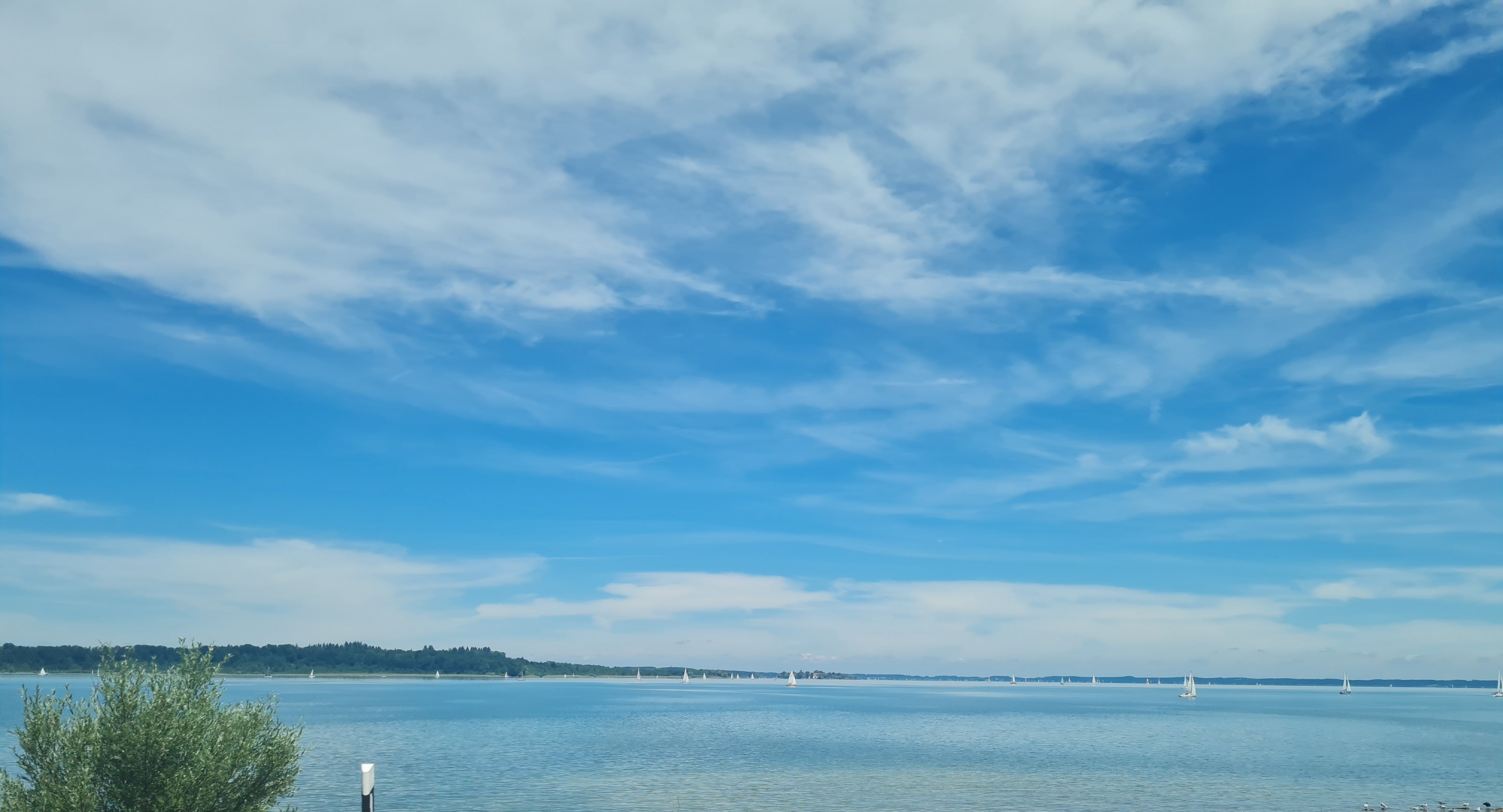20210627_123550~2.jpg