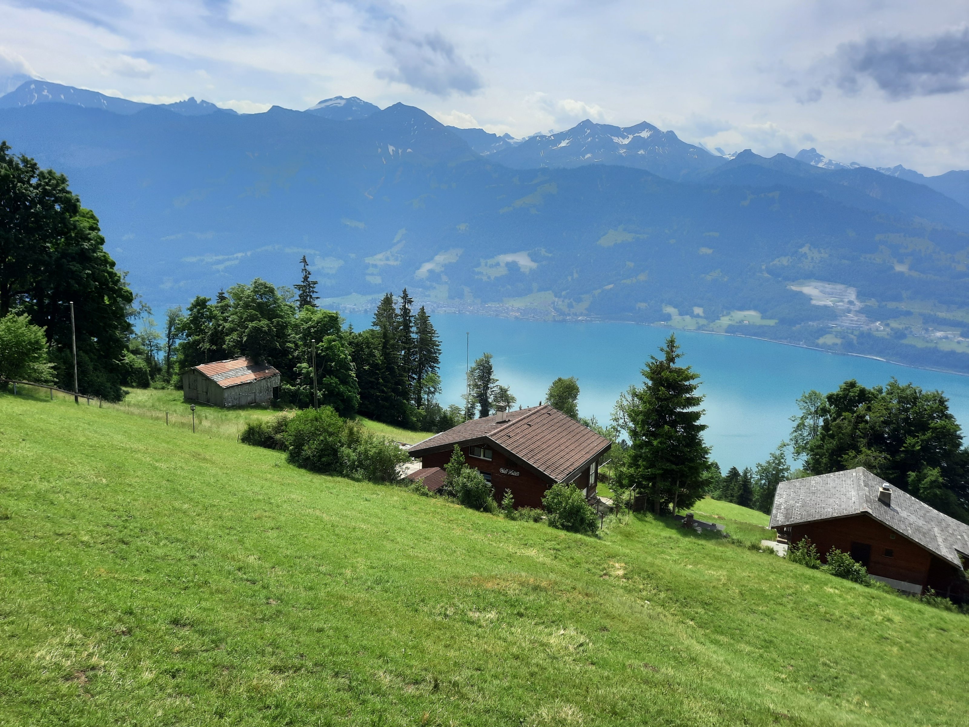 20210628_121606[1].jpg