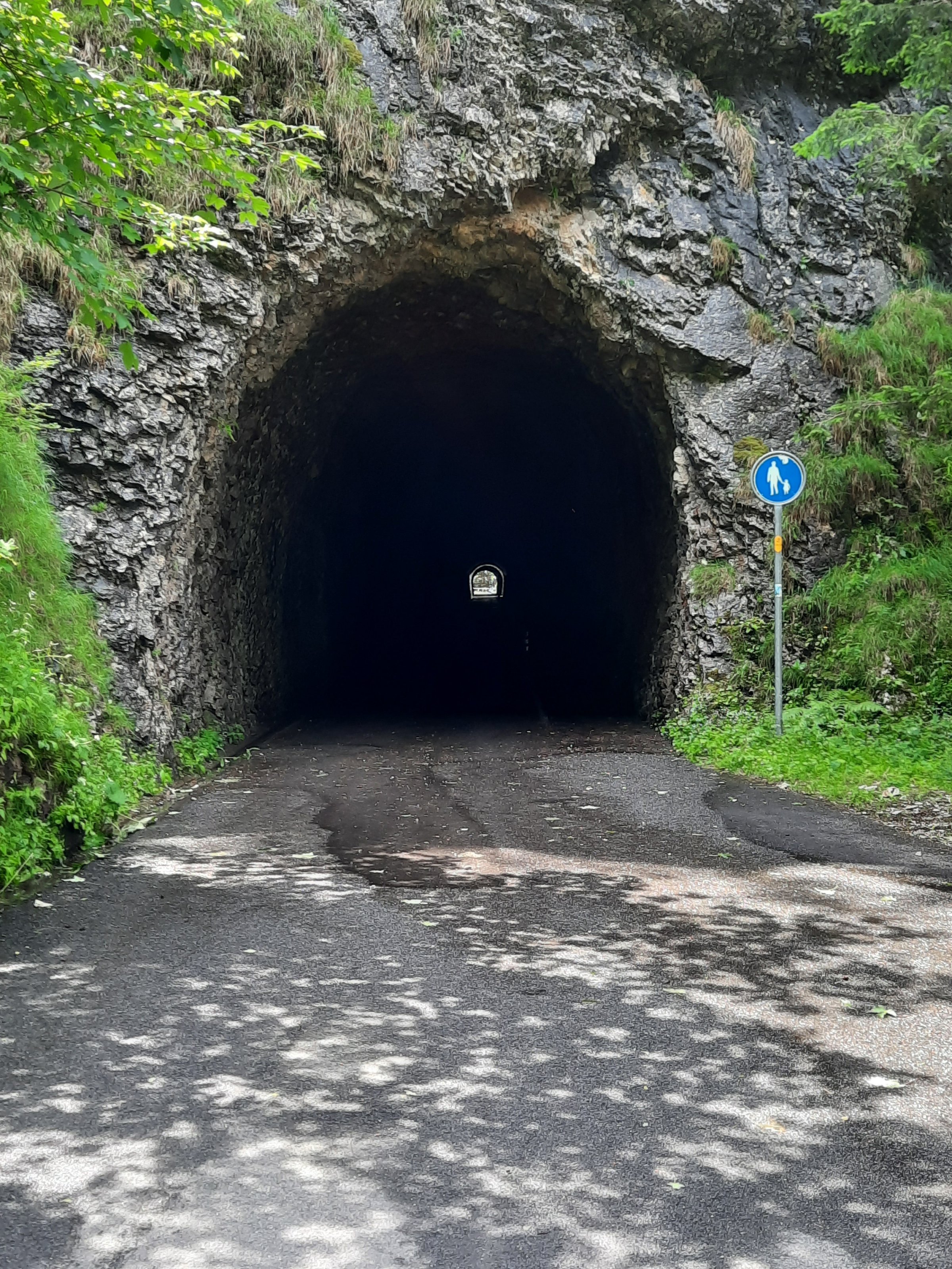 20210628_122202[1].jpg