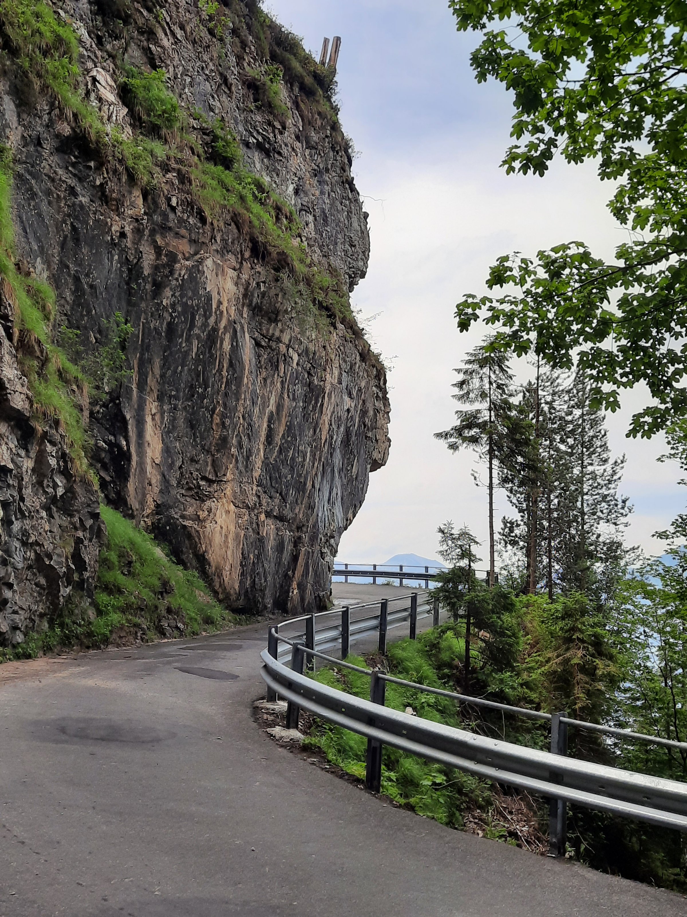 20210628_122429[1].jpg