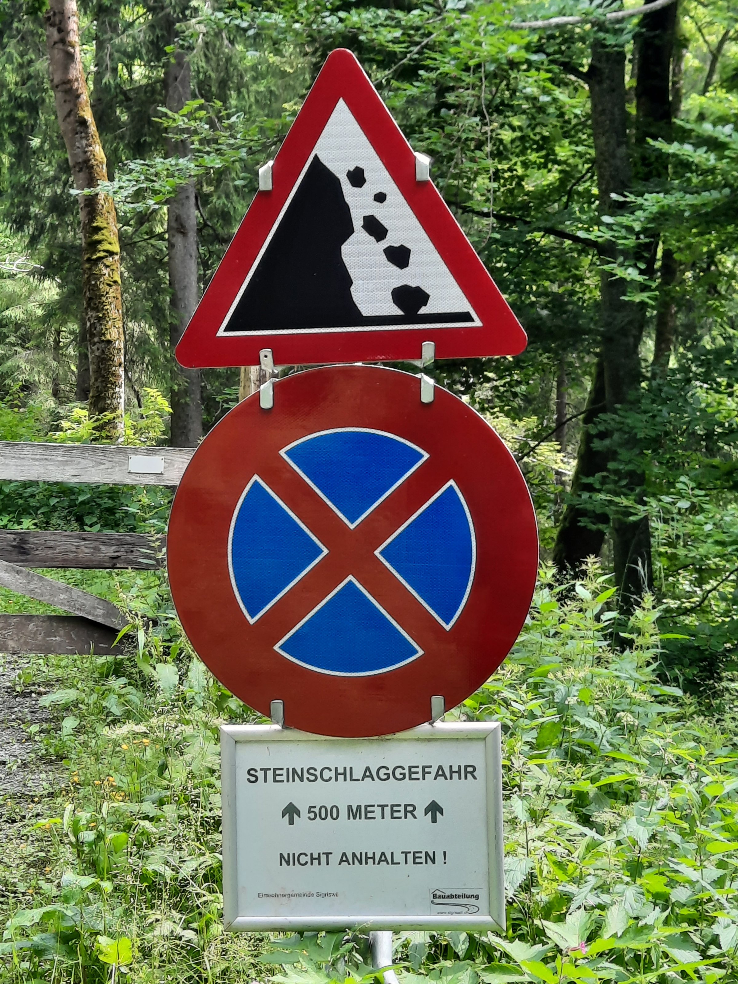 20210628_123013[1].jpg
