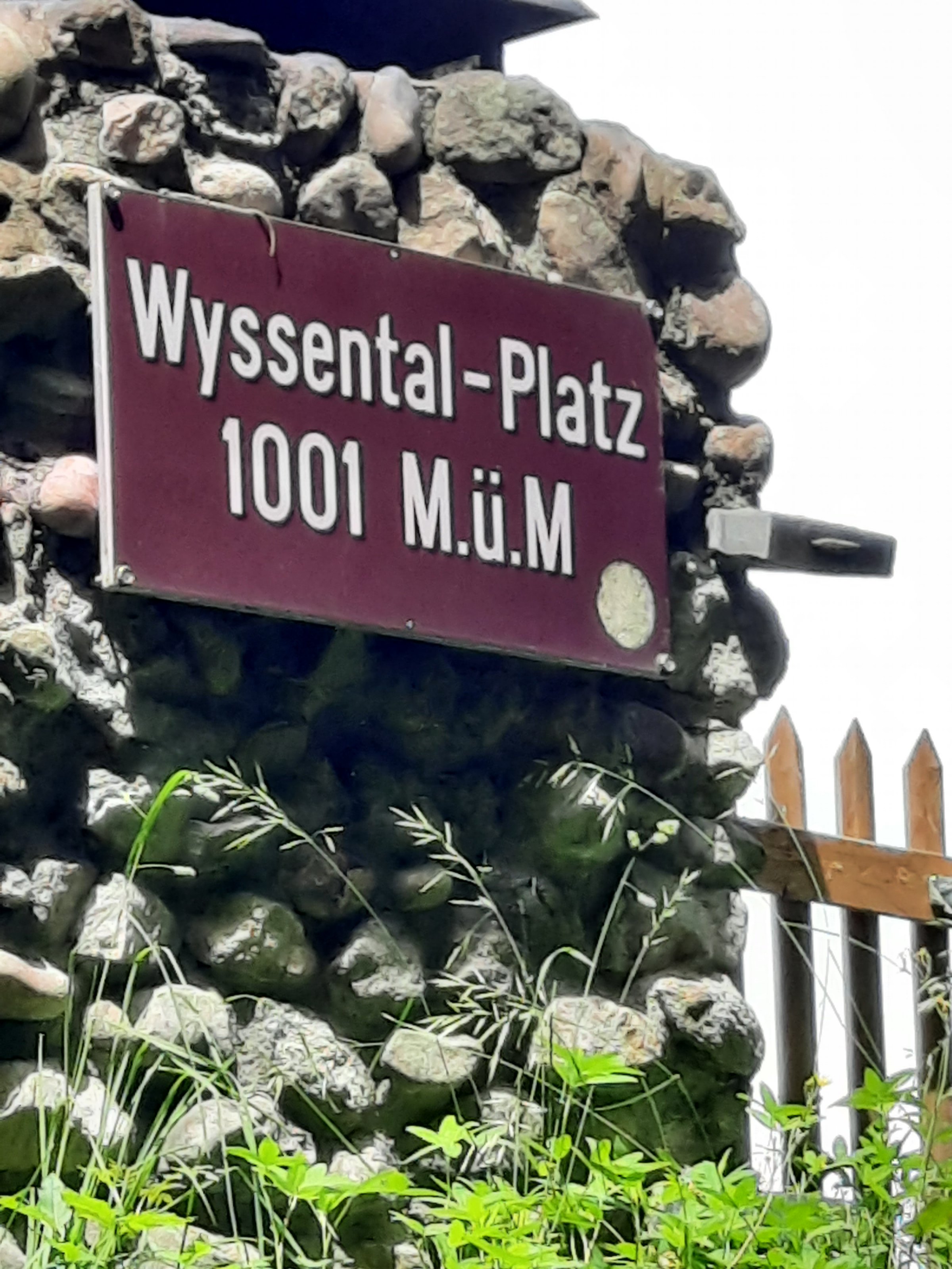 20210628_123730[1].jpg