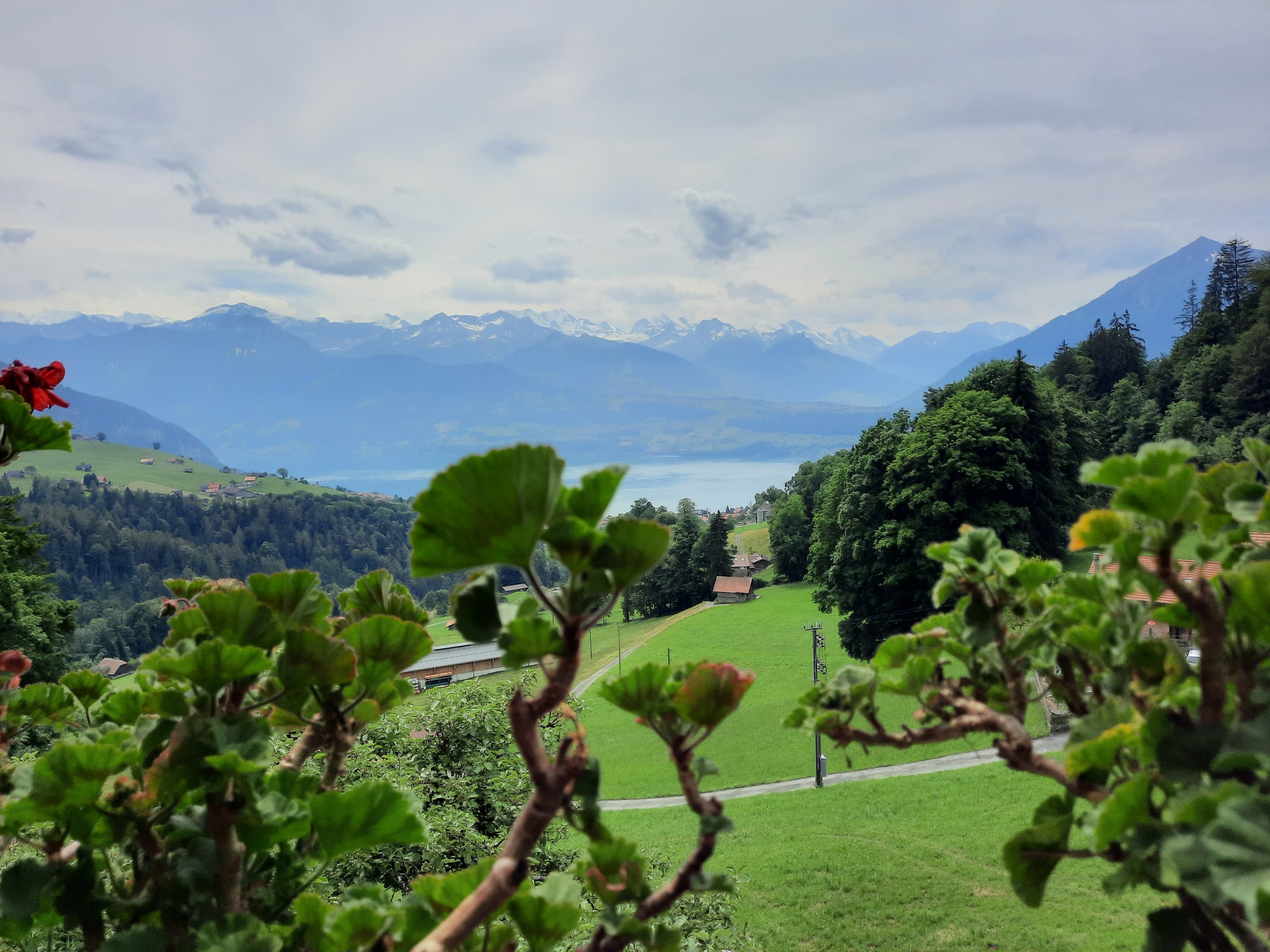 20210628_125336[1].jpg