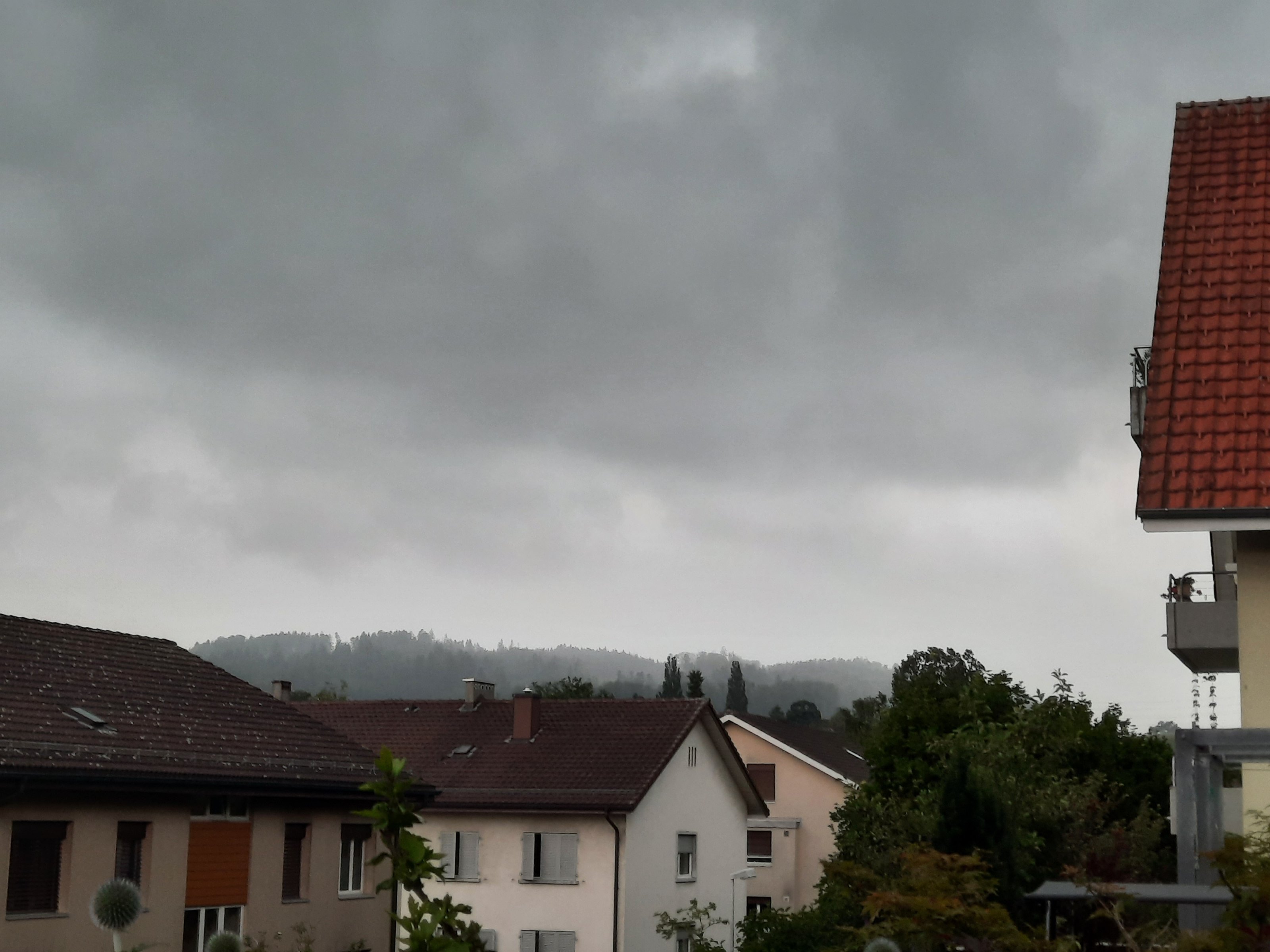 20210629_113012.jpg
