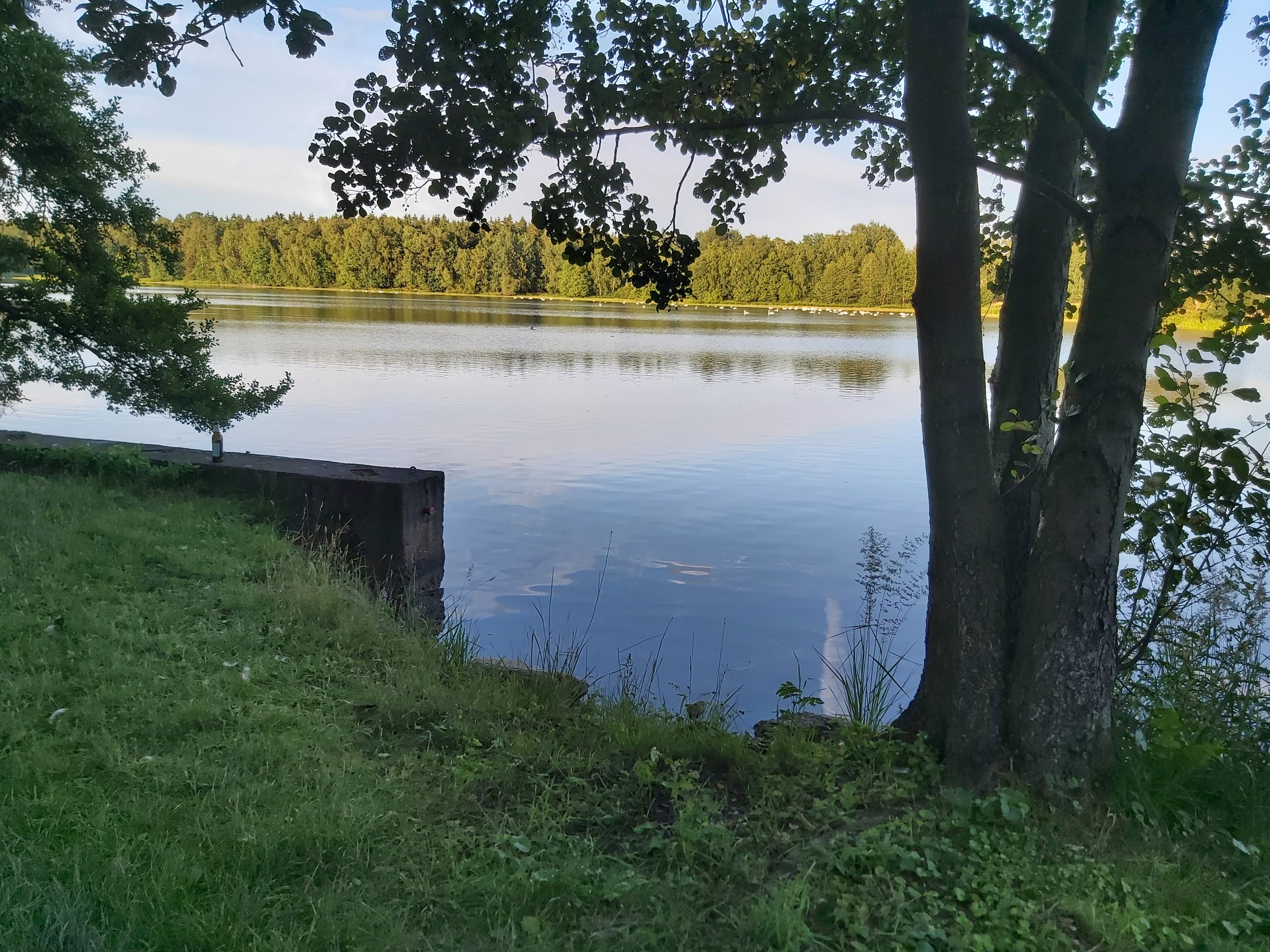 20210715_200450[1].jpg