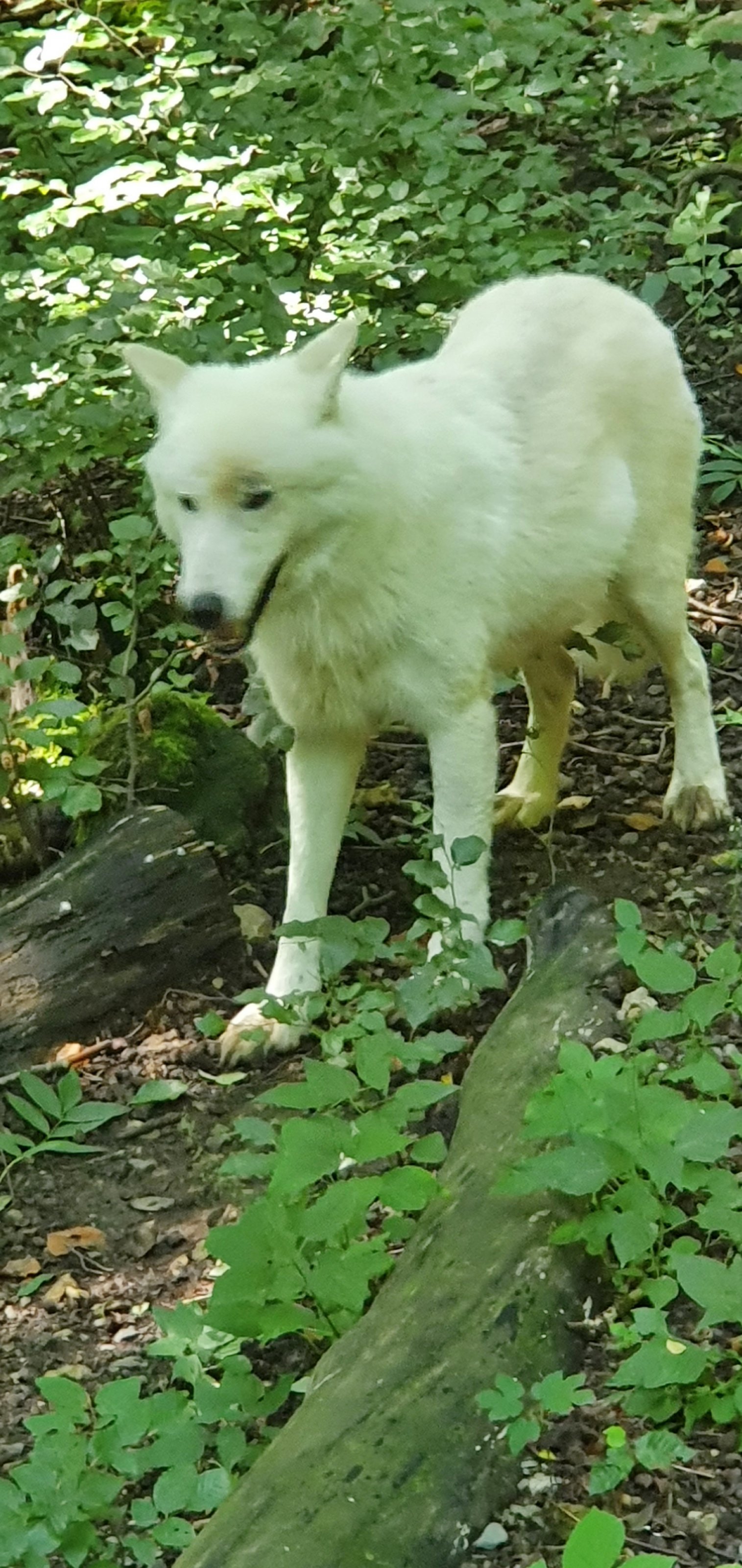 20210824_120235.jpg