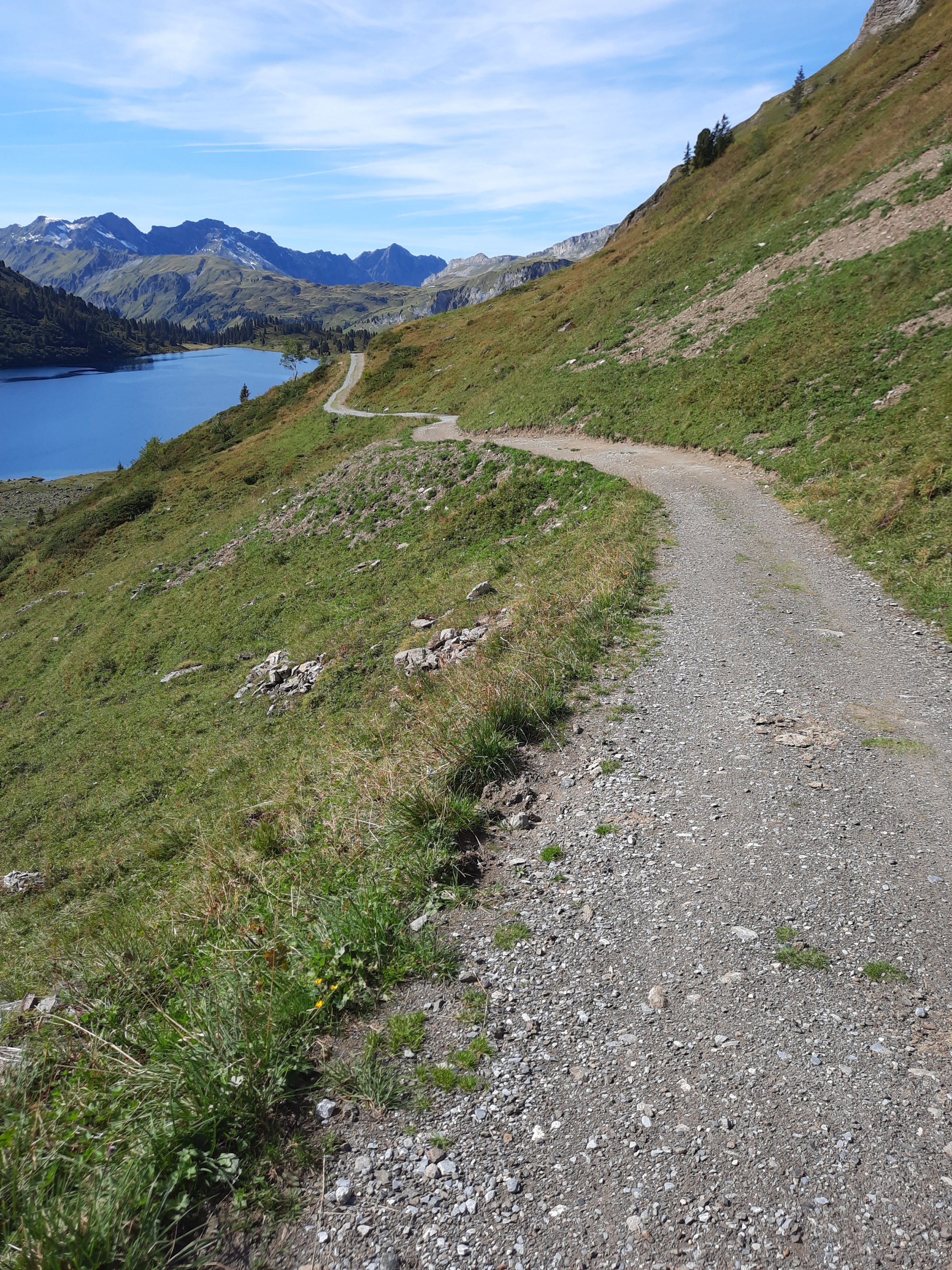 20210923_140701[1].jpg