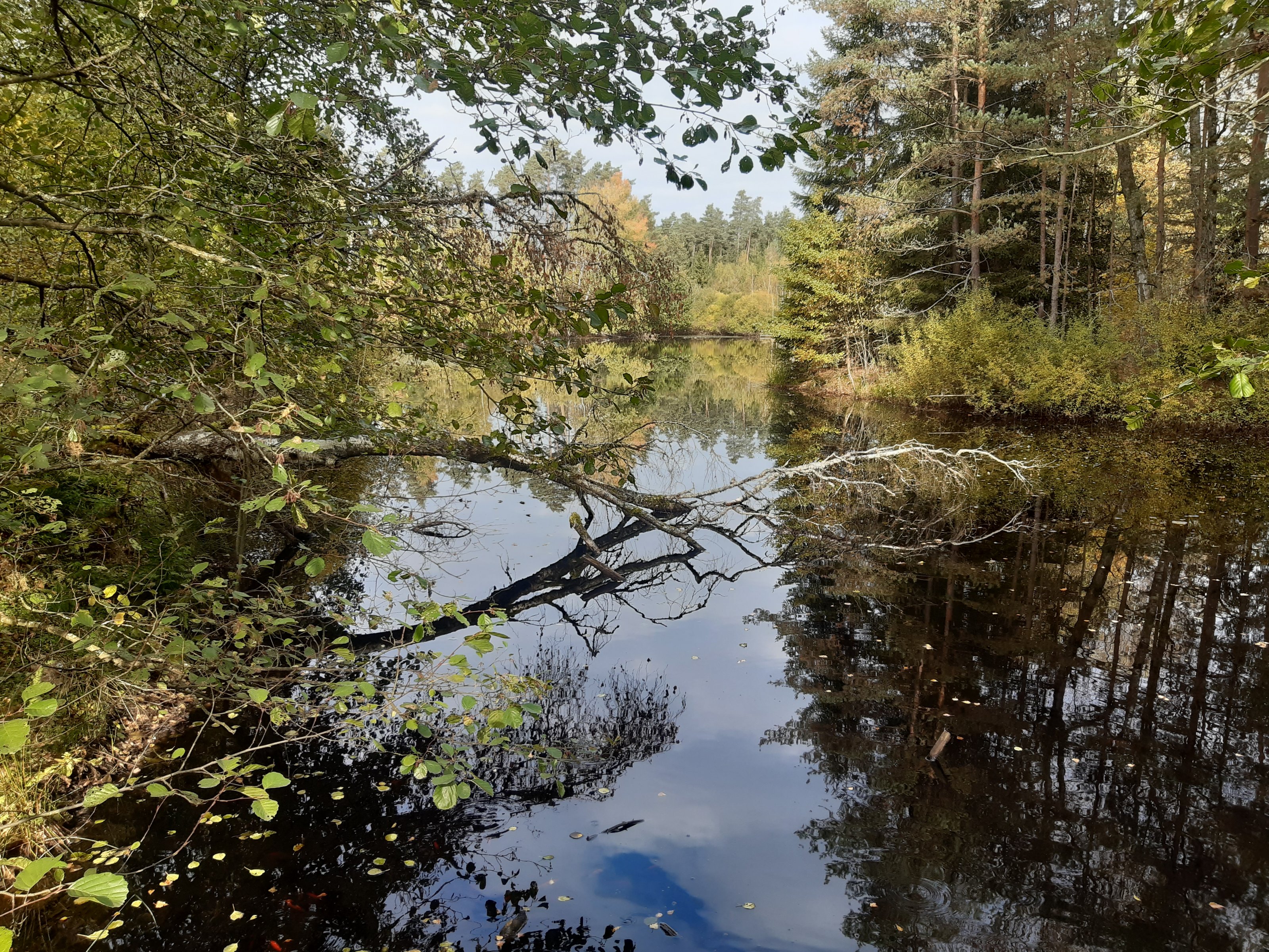 20211017_140143.jpg