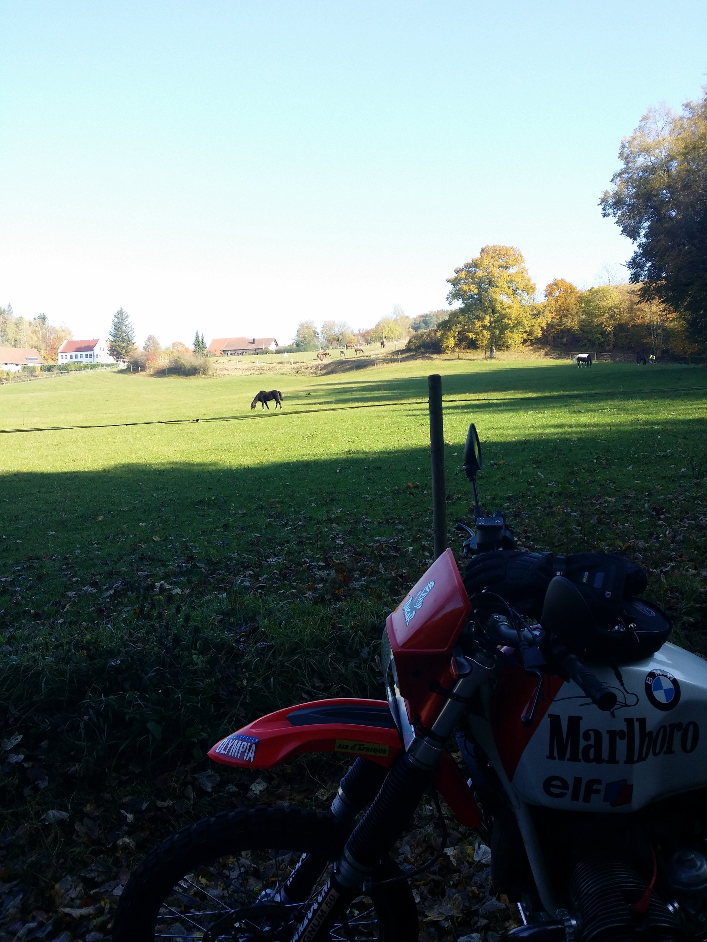 20211024_115730.jpg