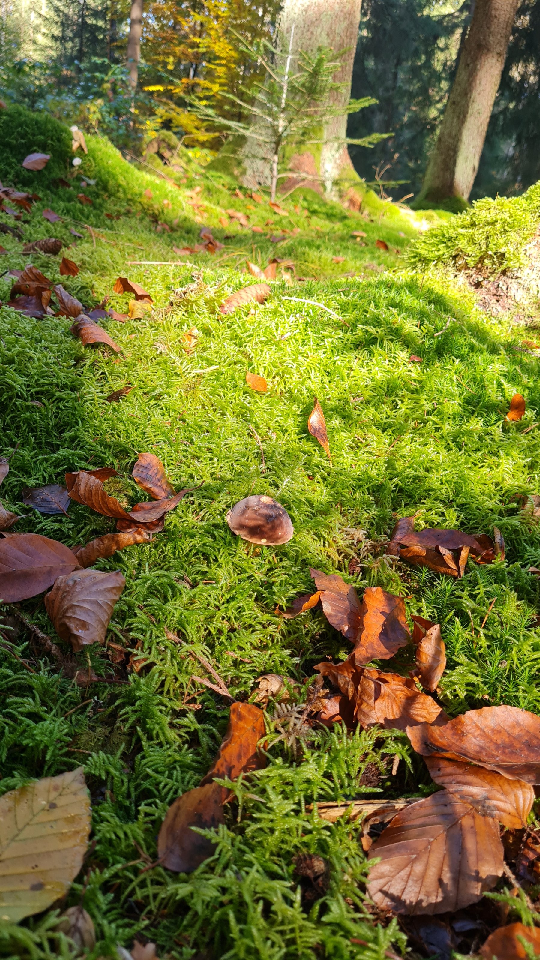 20211031_104651.jpg