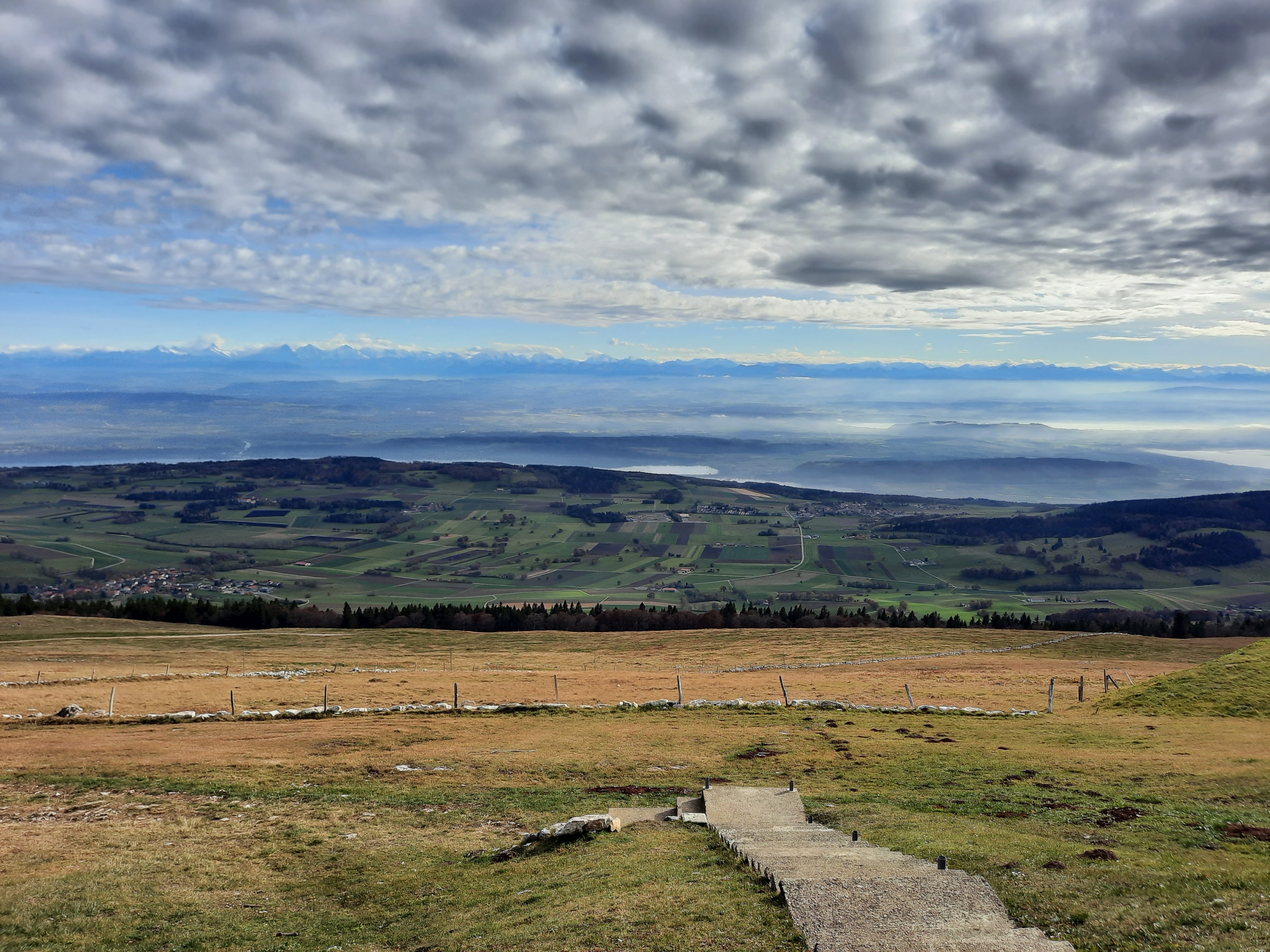 20211031_135936[1].jpg