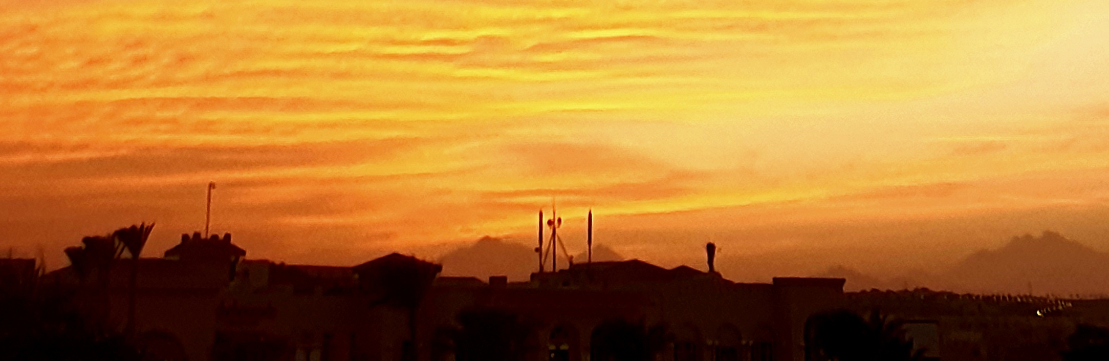 20211031_170758.jpg