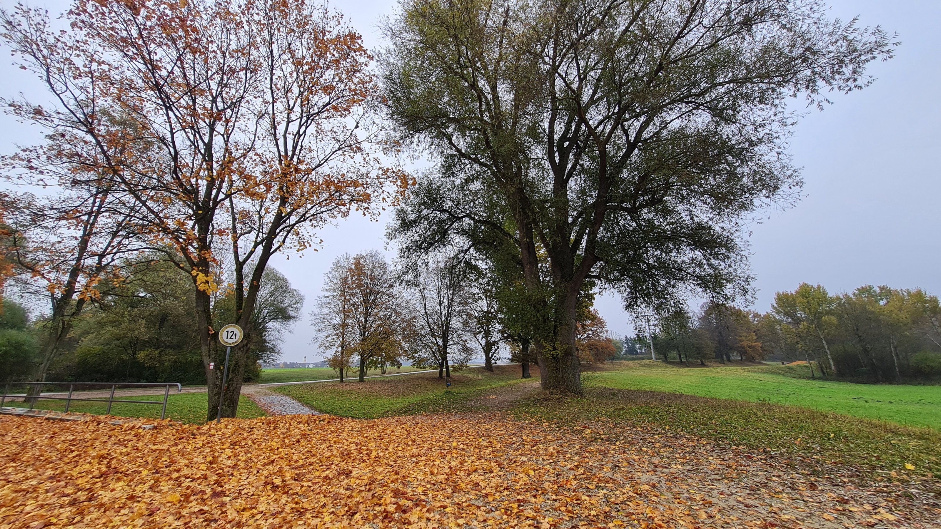 20211101_133919.jpg