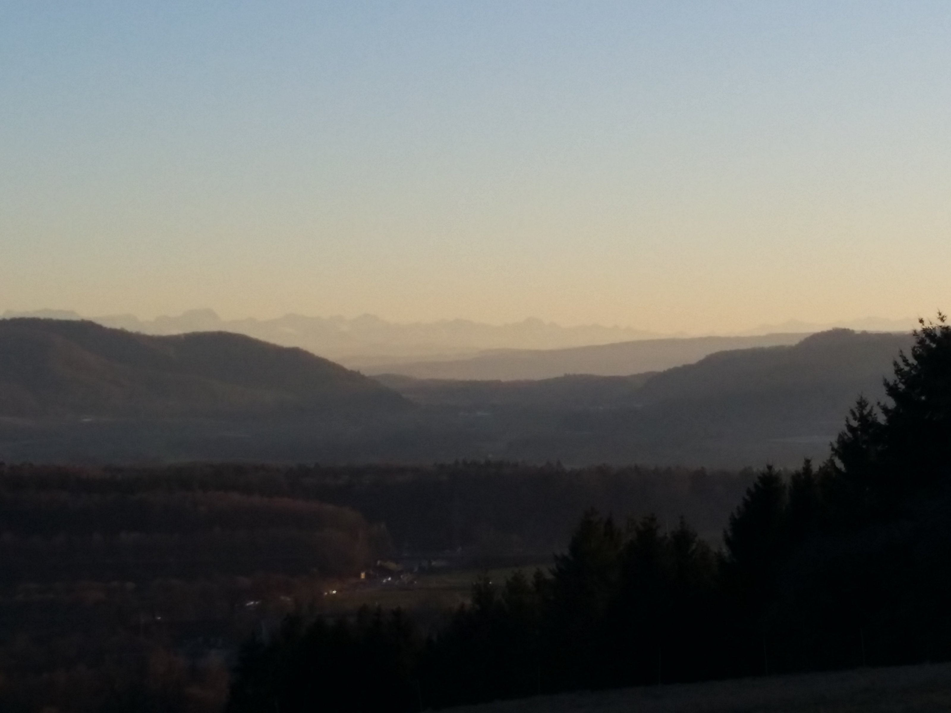 20220209_170705.jpg