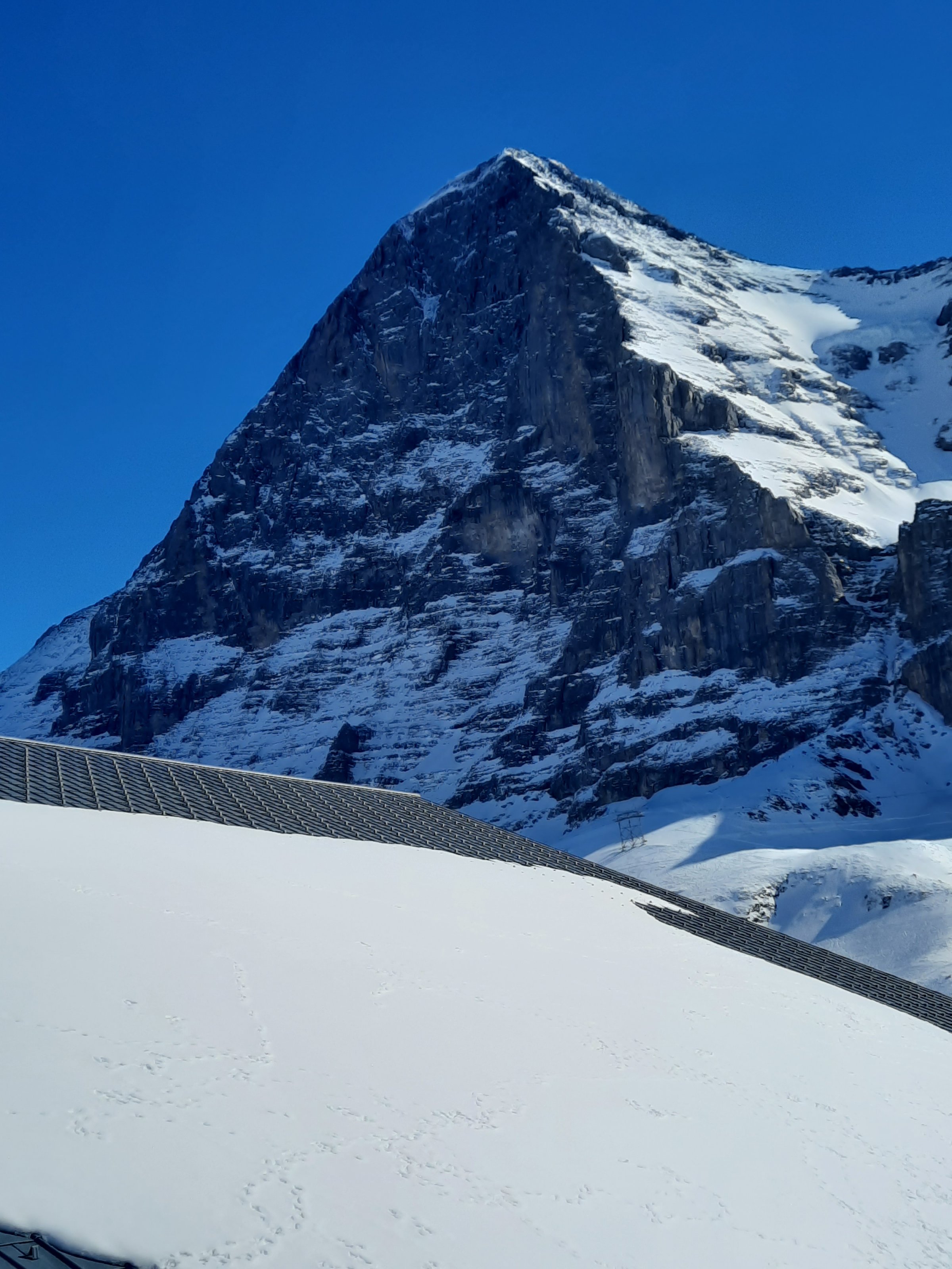 20220228_122247[1].jpg
