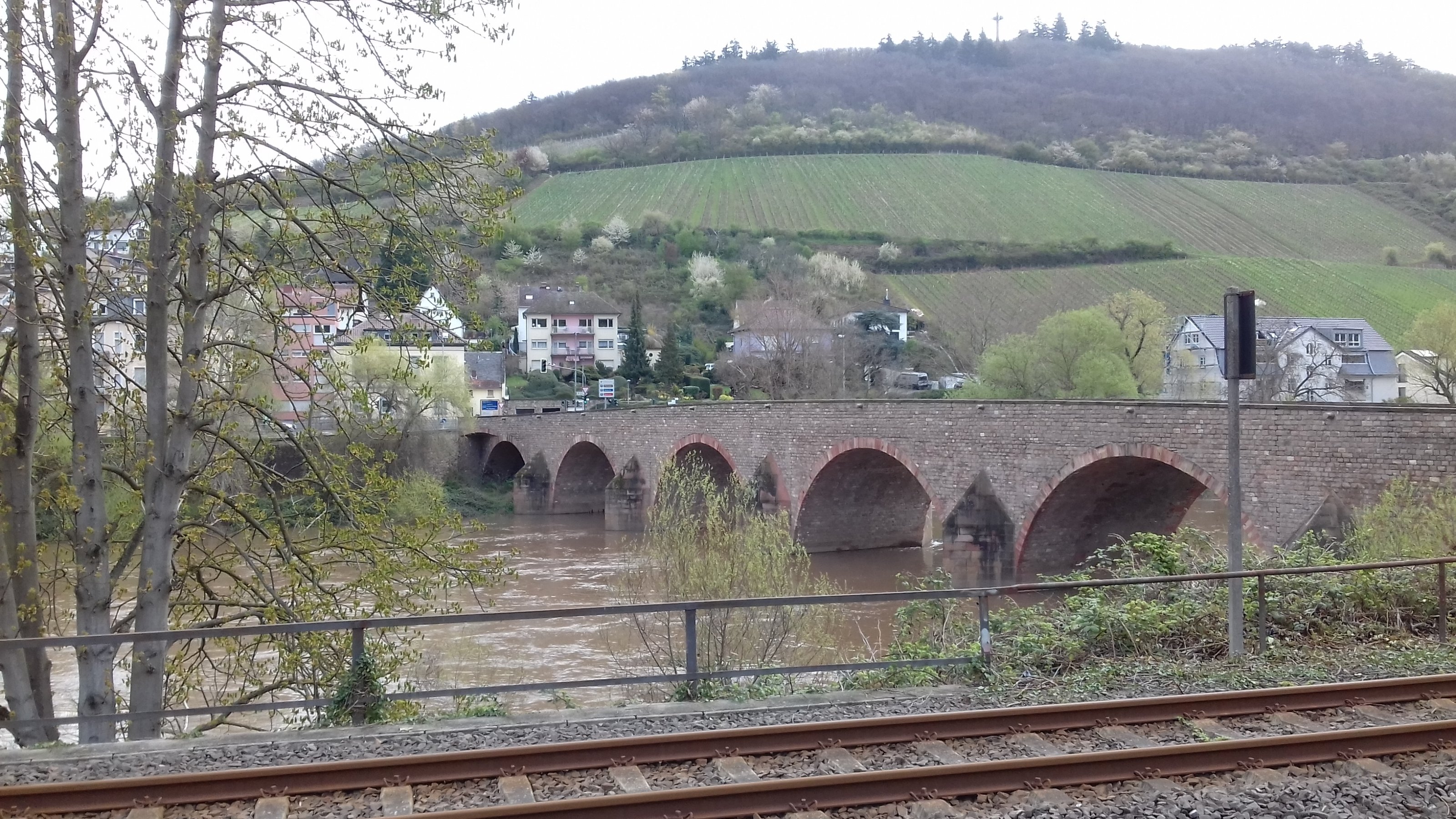 20220410_104147.jpg