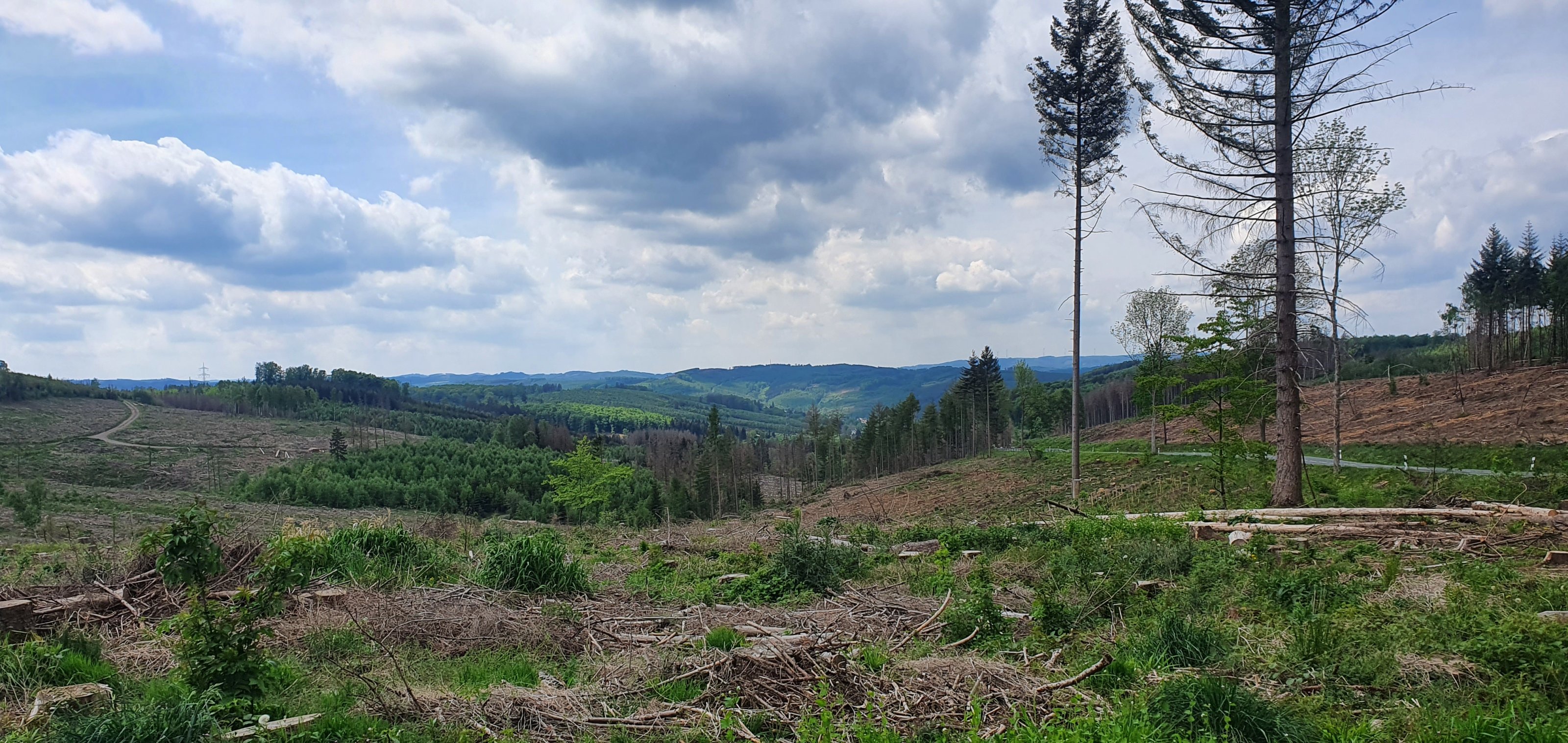 20220512_130157.jpg
