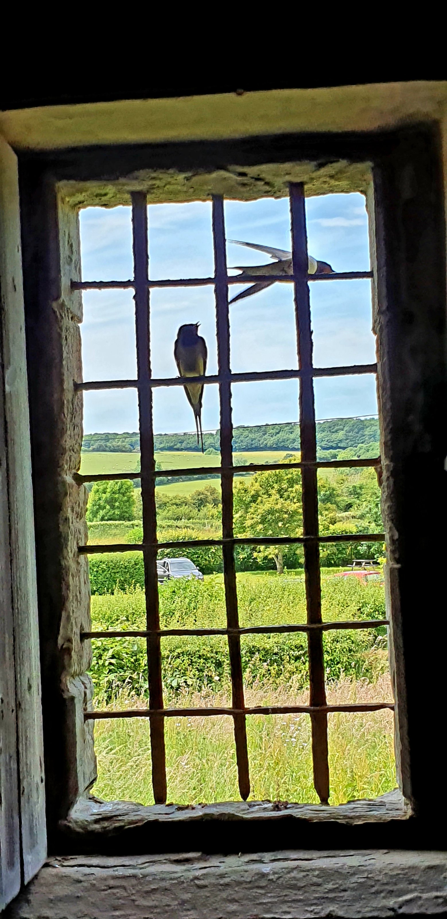 20220616_130039.jpg