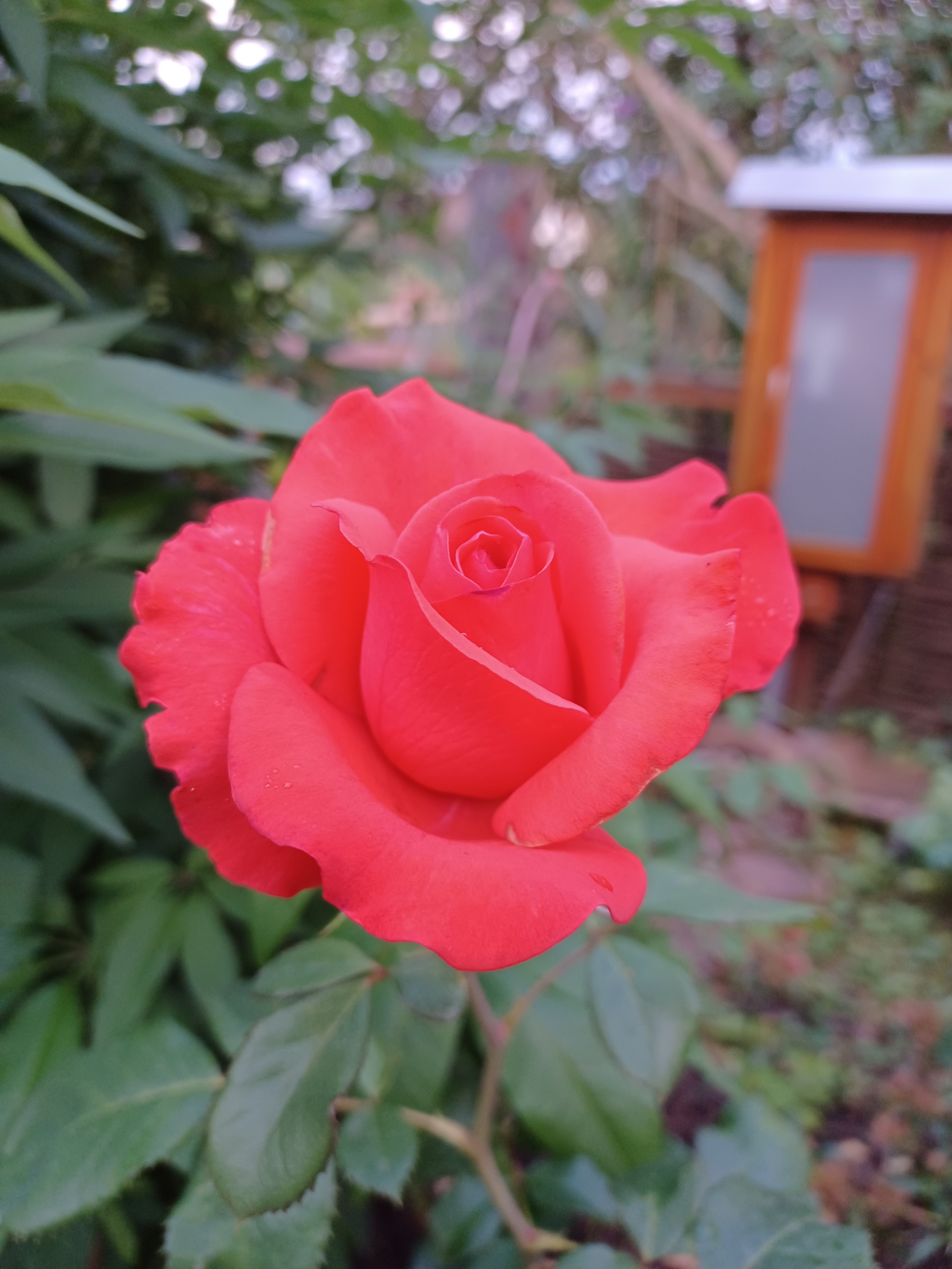 20220630_210338.jpg