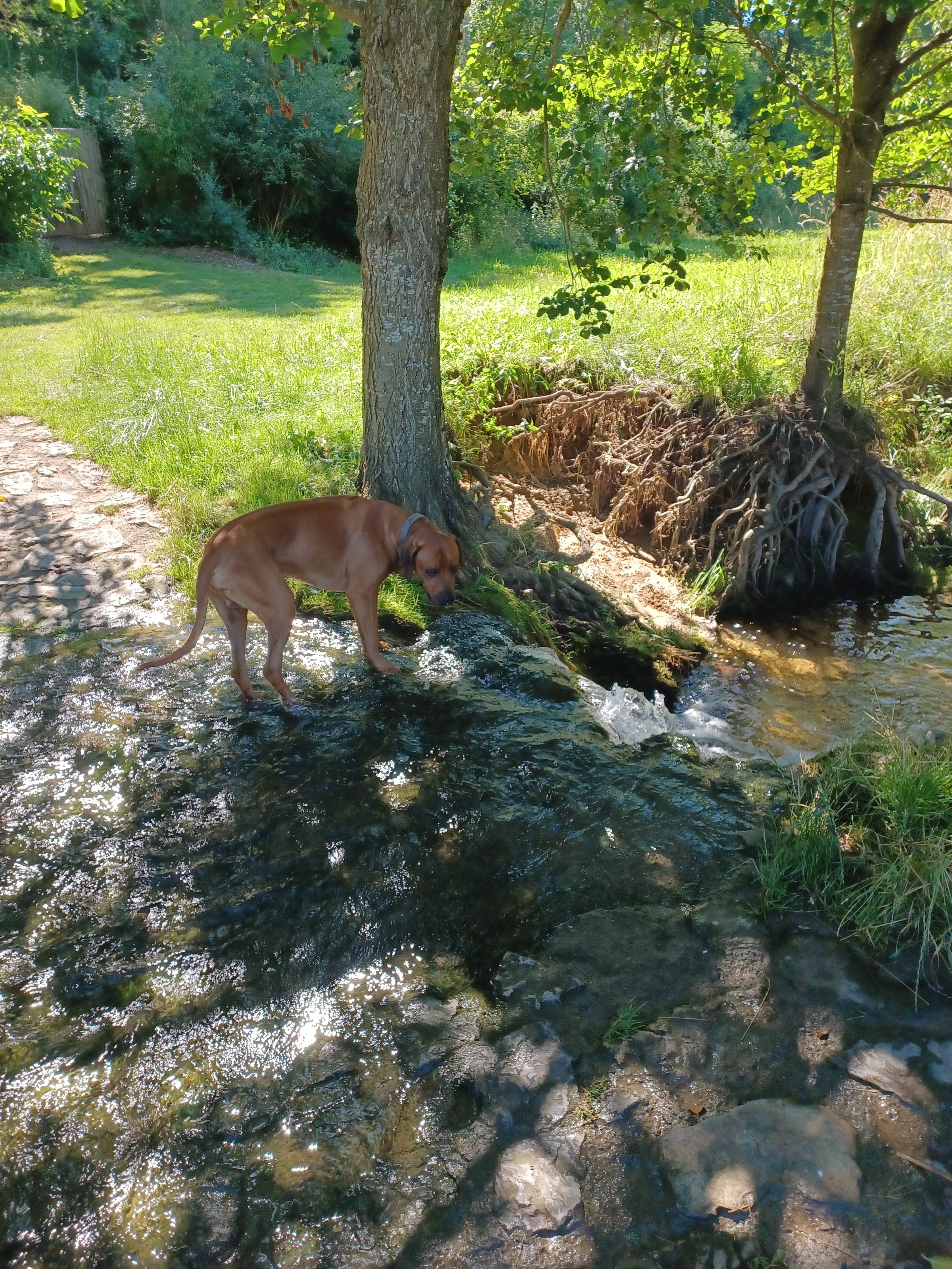 20220703_102544.jpg