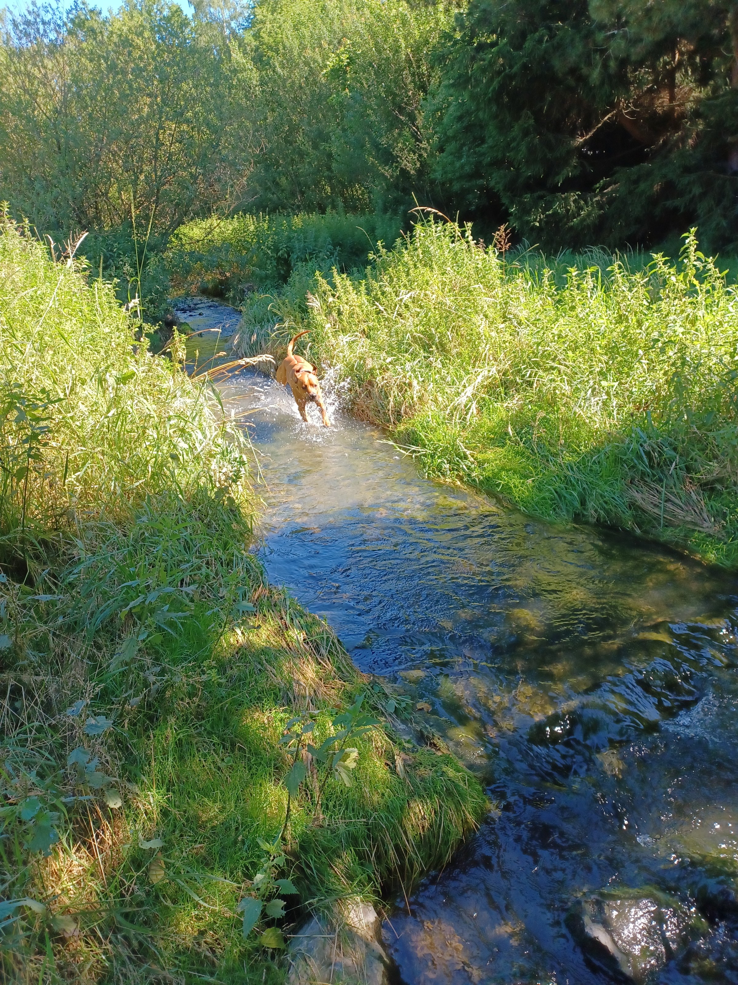 20220703_102614.jpg