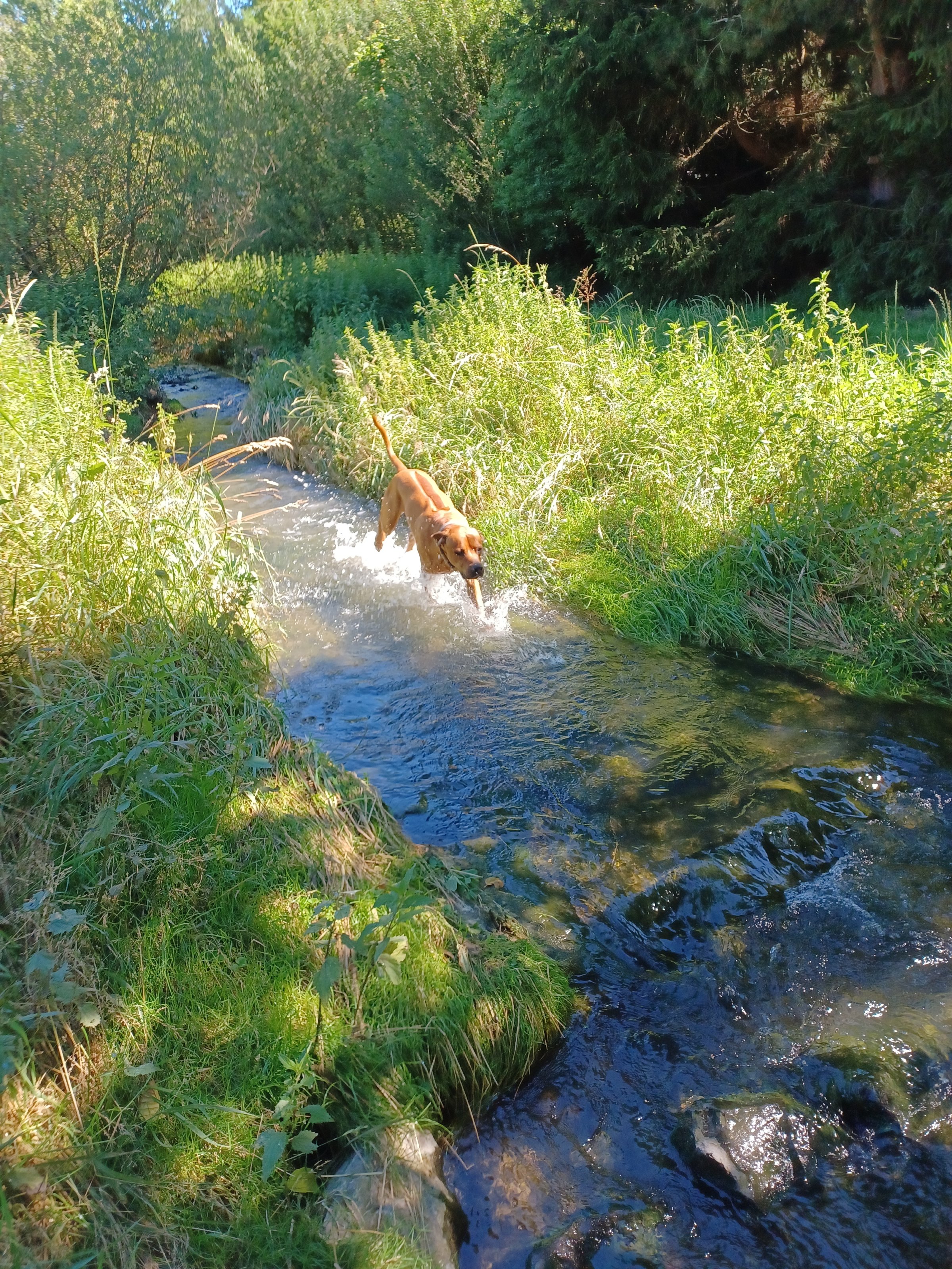 20220703_102615.jpg