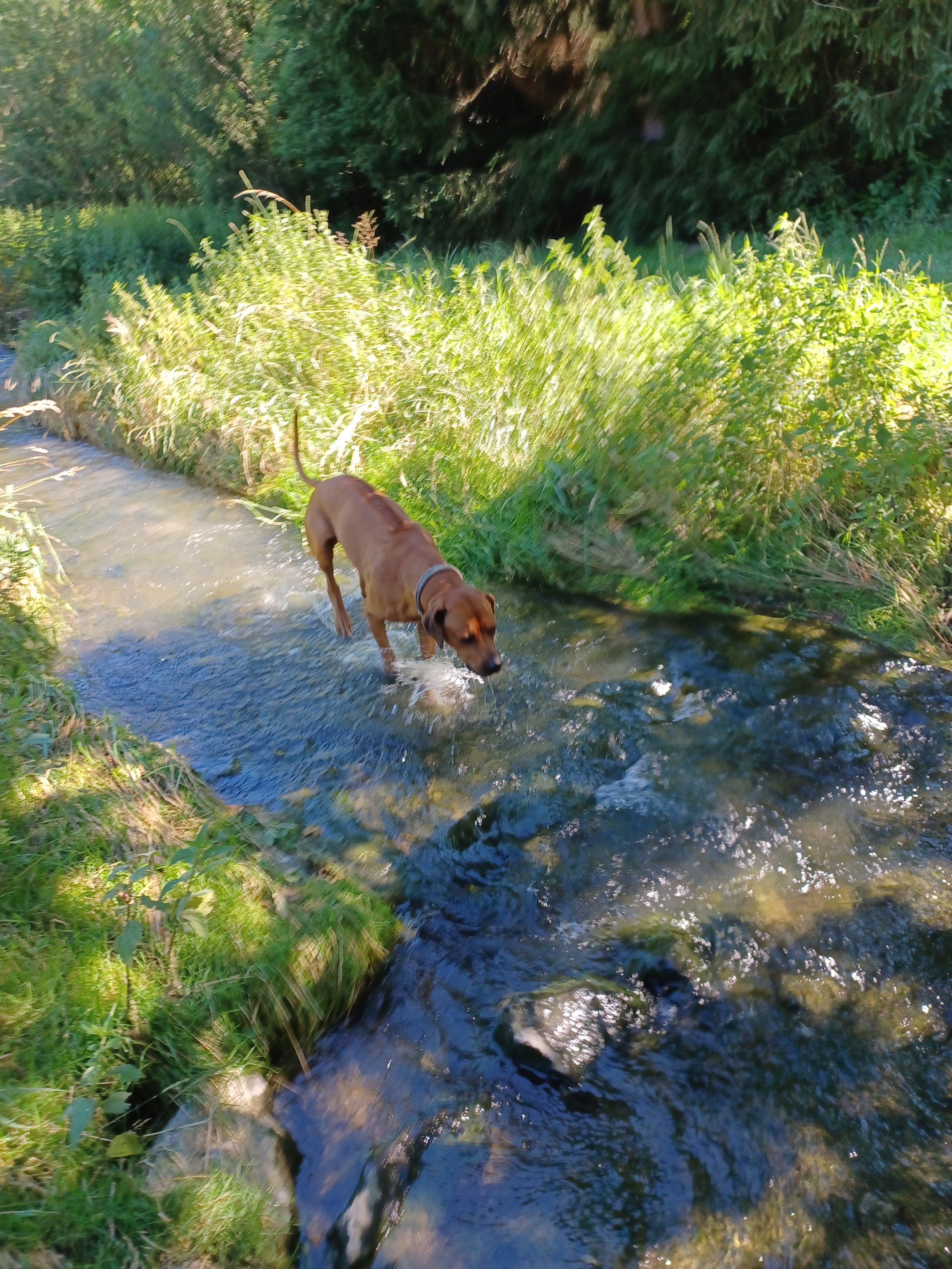 20220703_102616.jpg