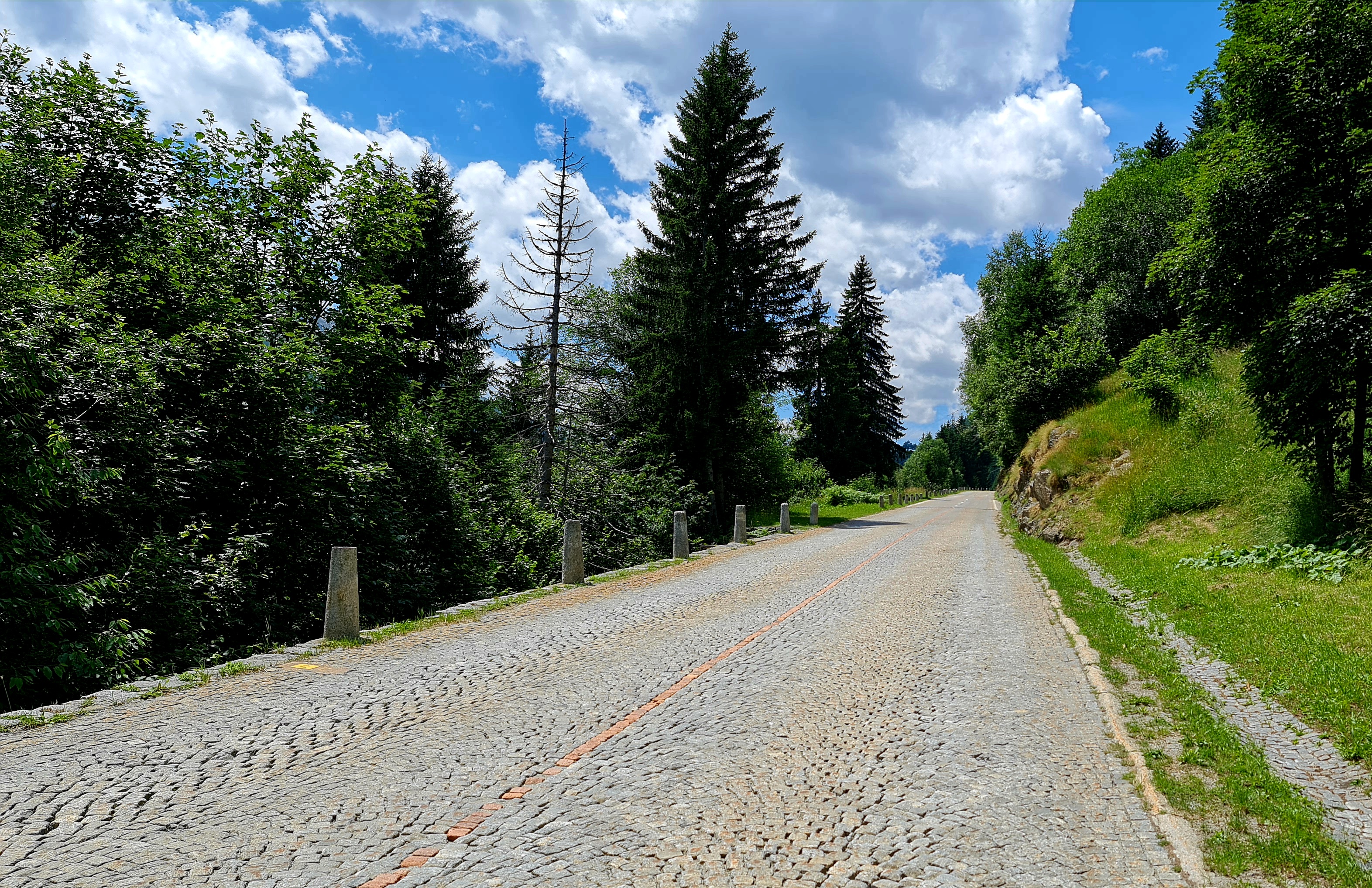 20220703_135101.jpg
