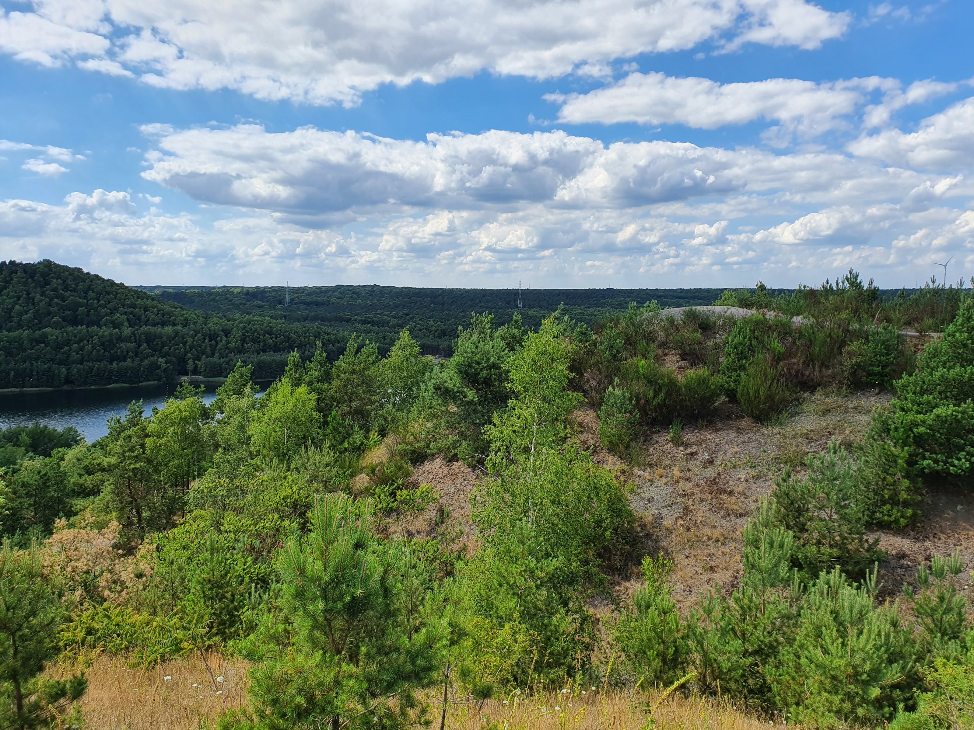 20220704_155852[1].jpg