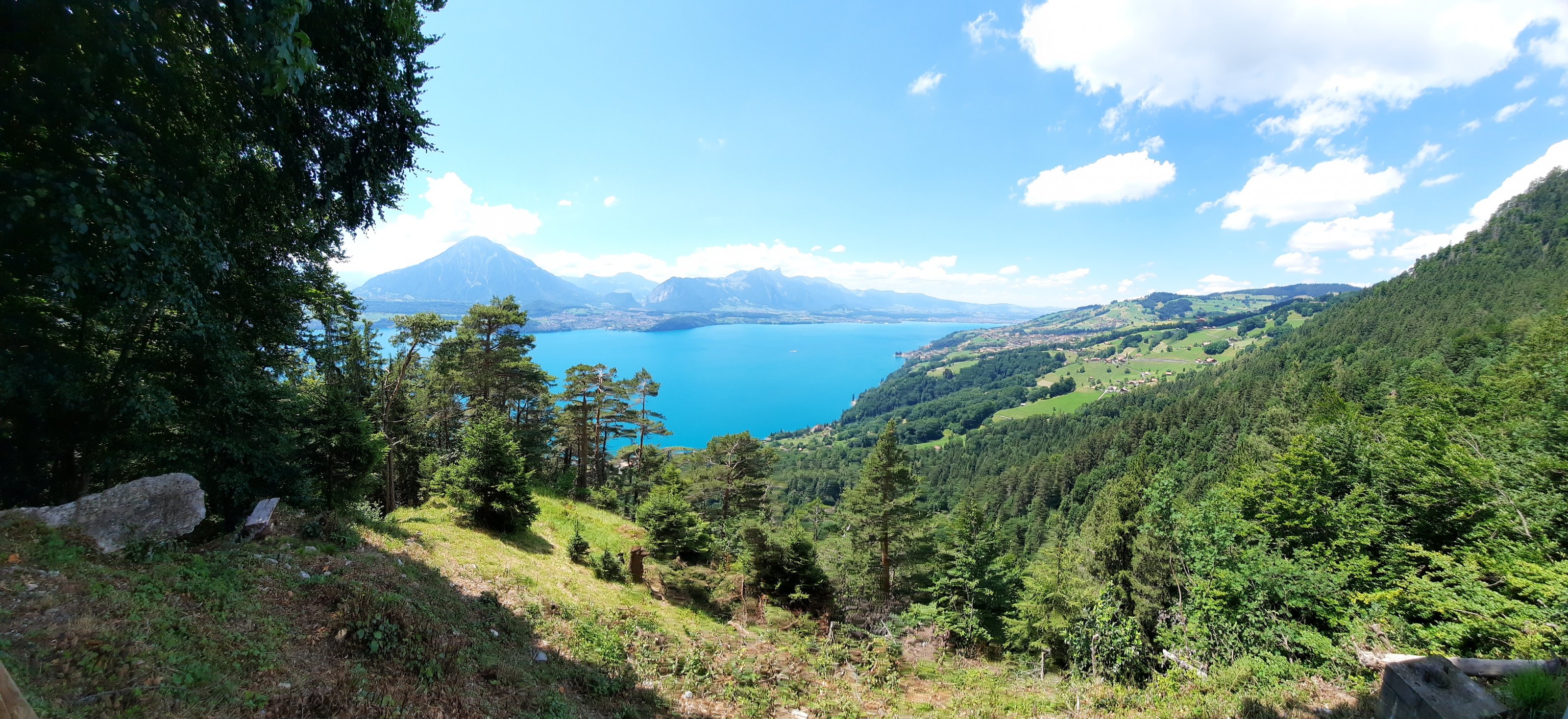 20220706_134219[1].jpg