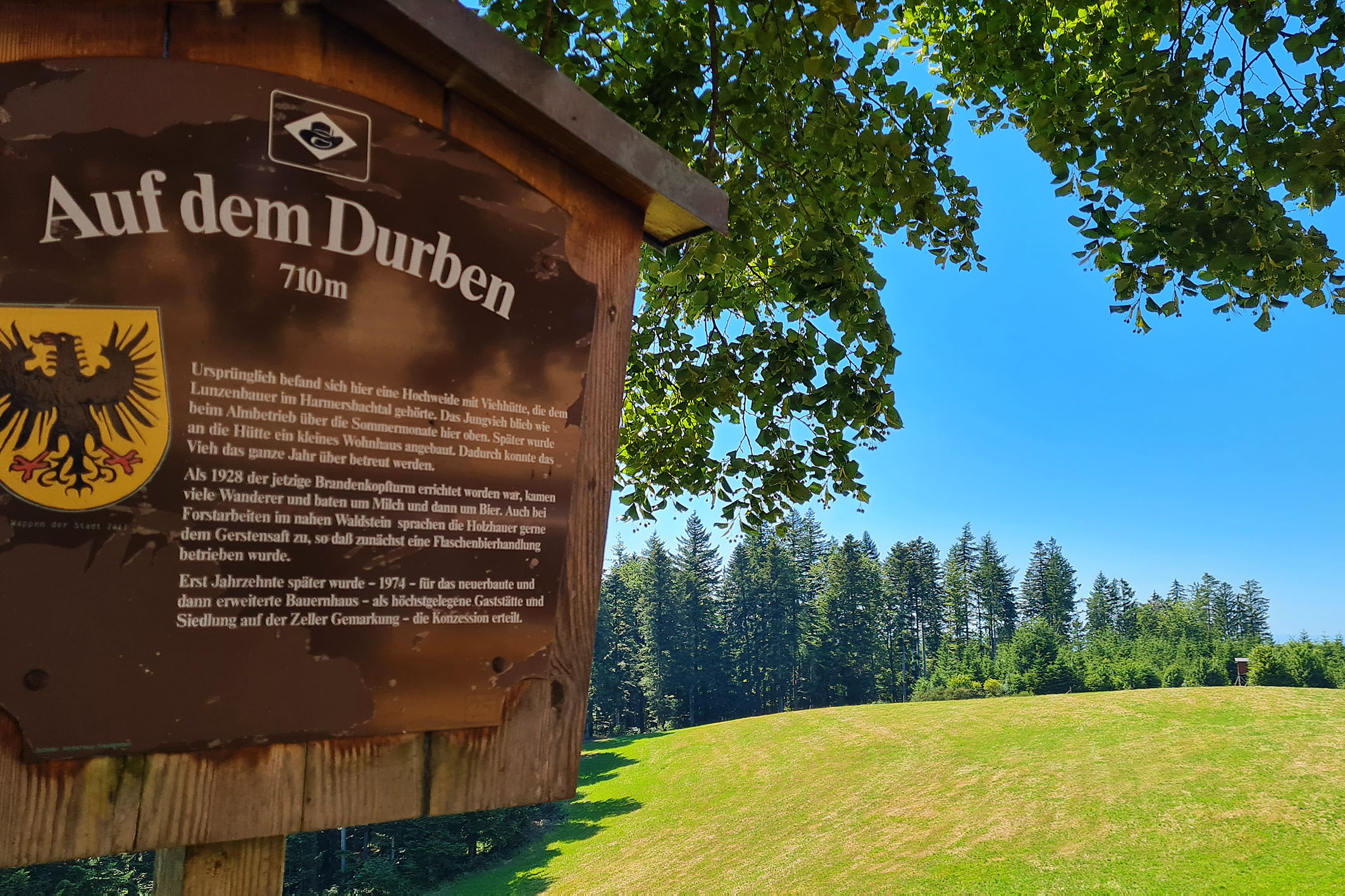 20220708_153315_JS_Durben.jpg