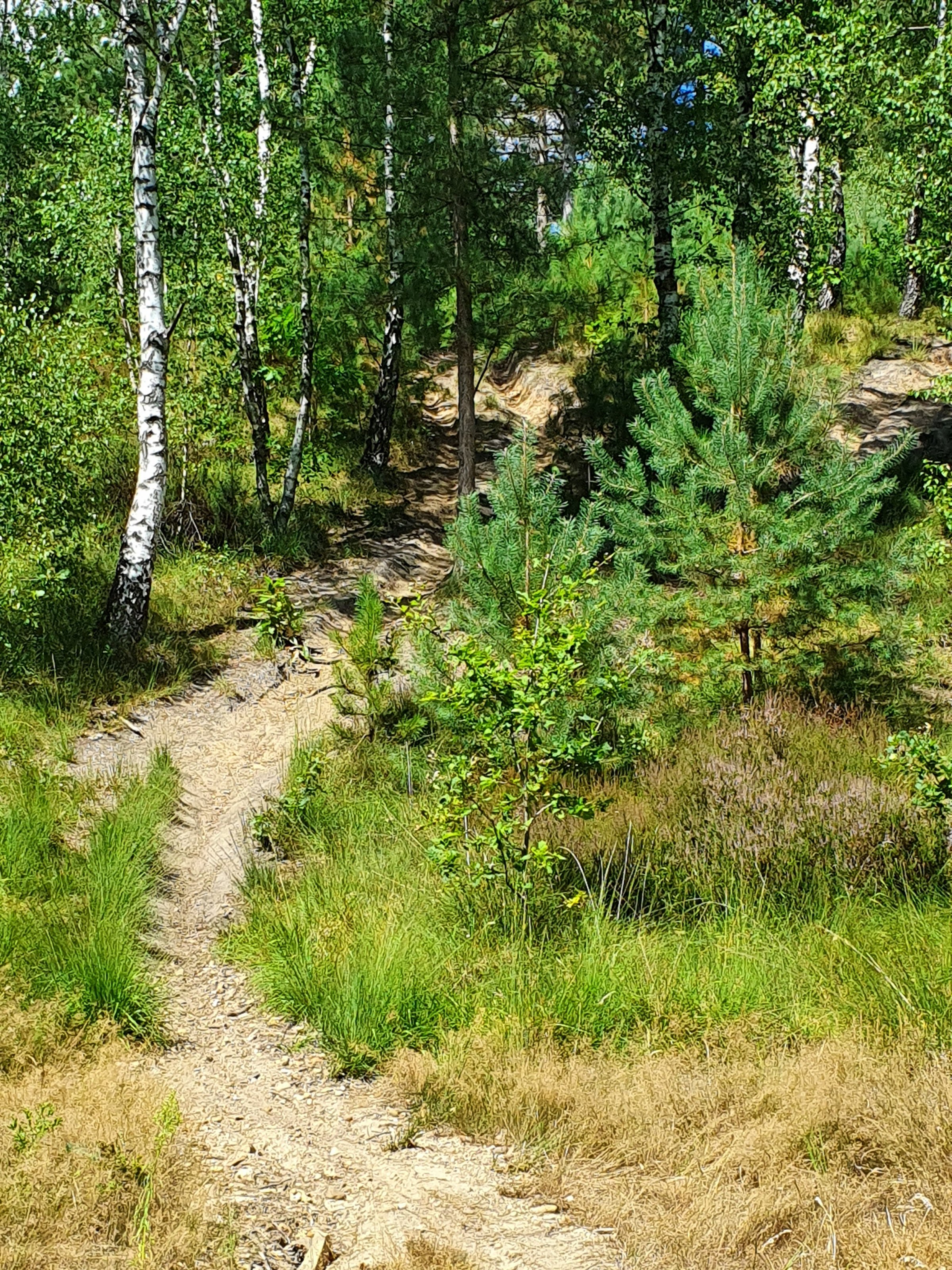 20220803_152745.jpg