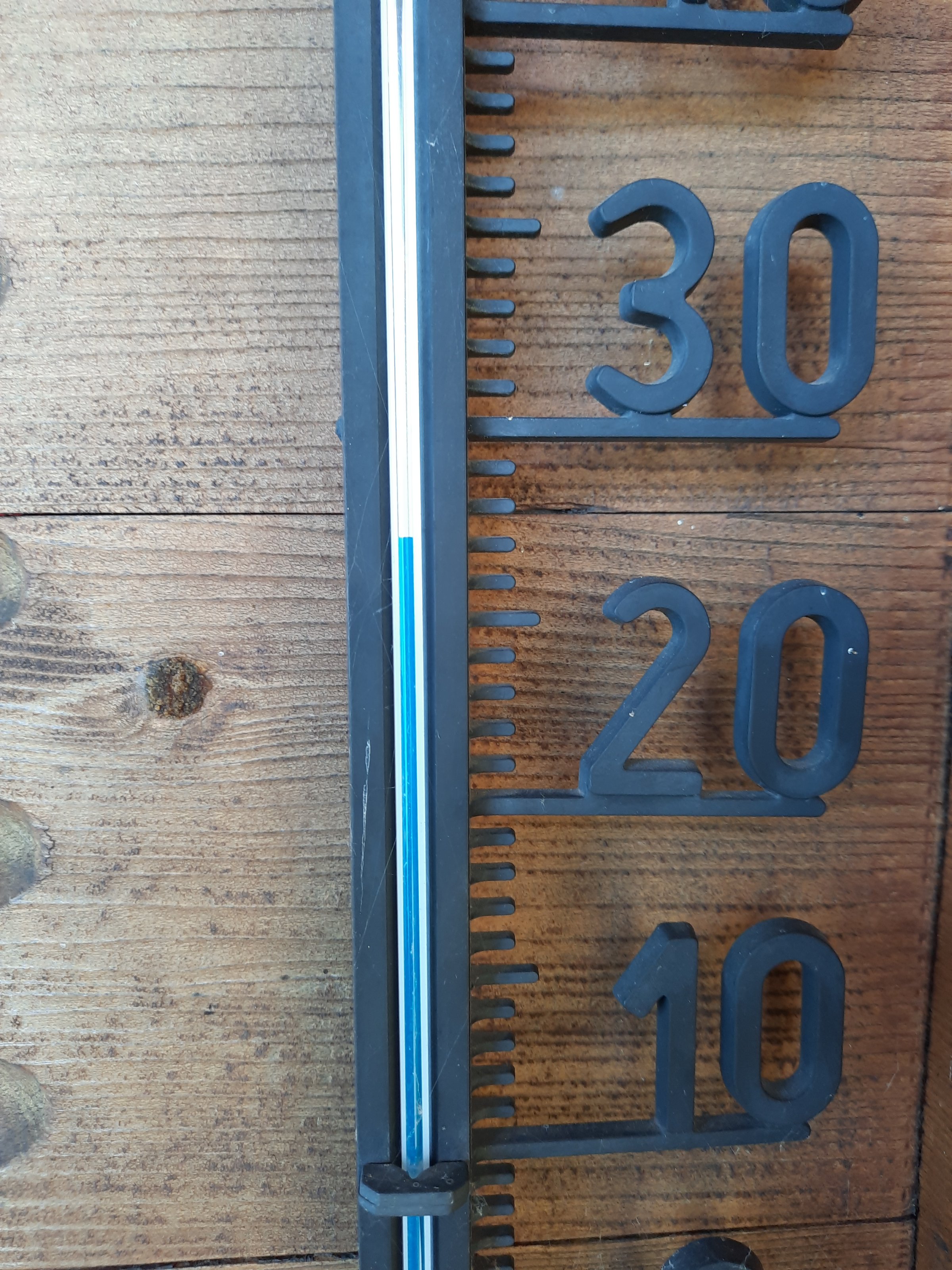 20220804_132442.jpg