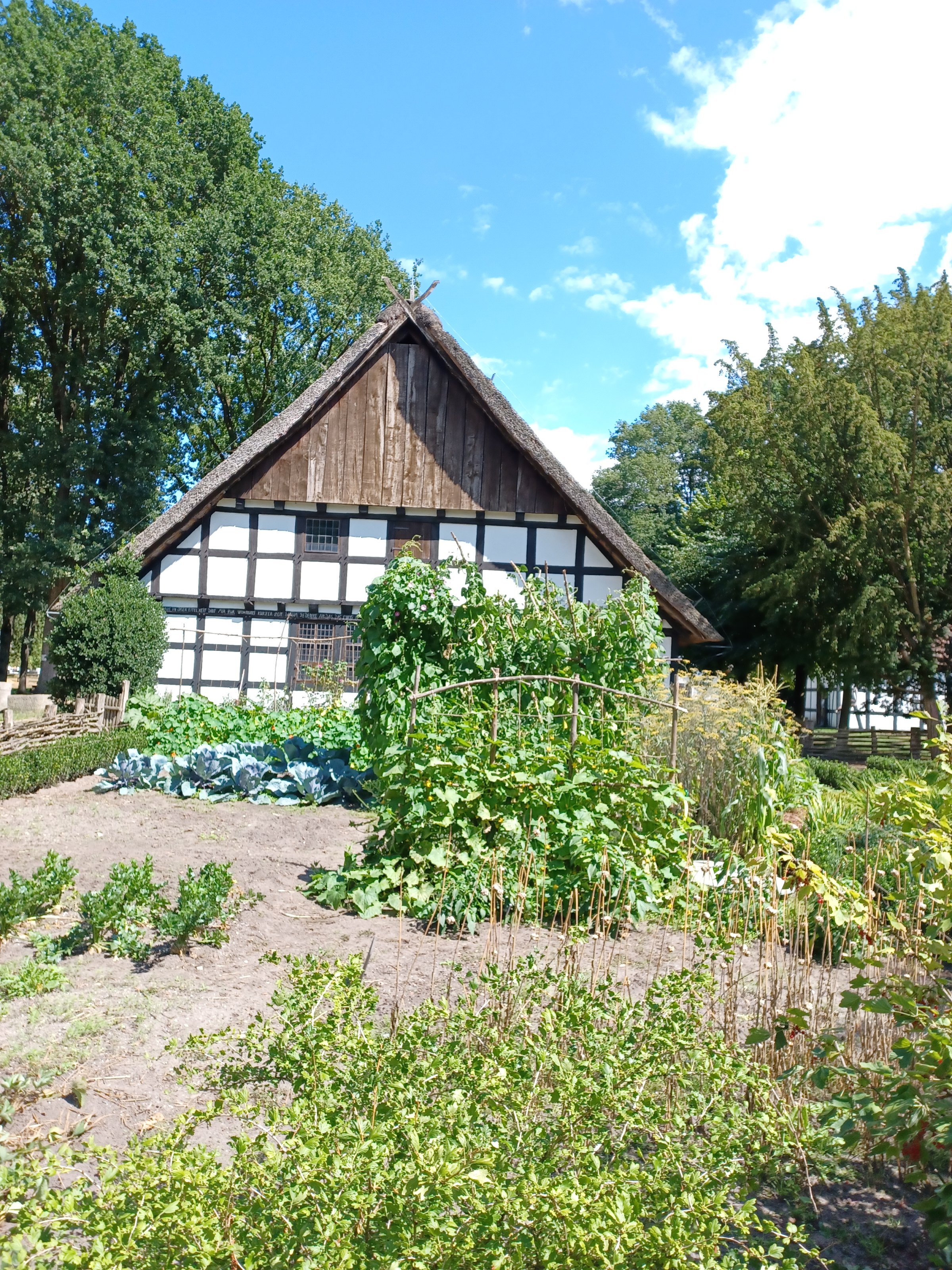 20220806_141353.jpg