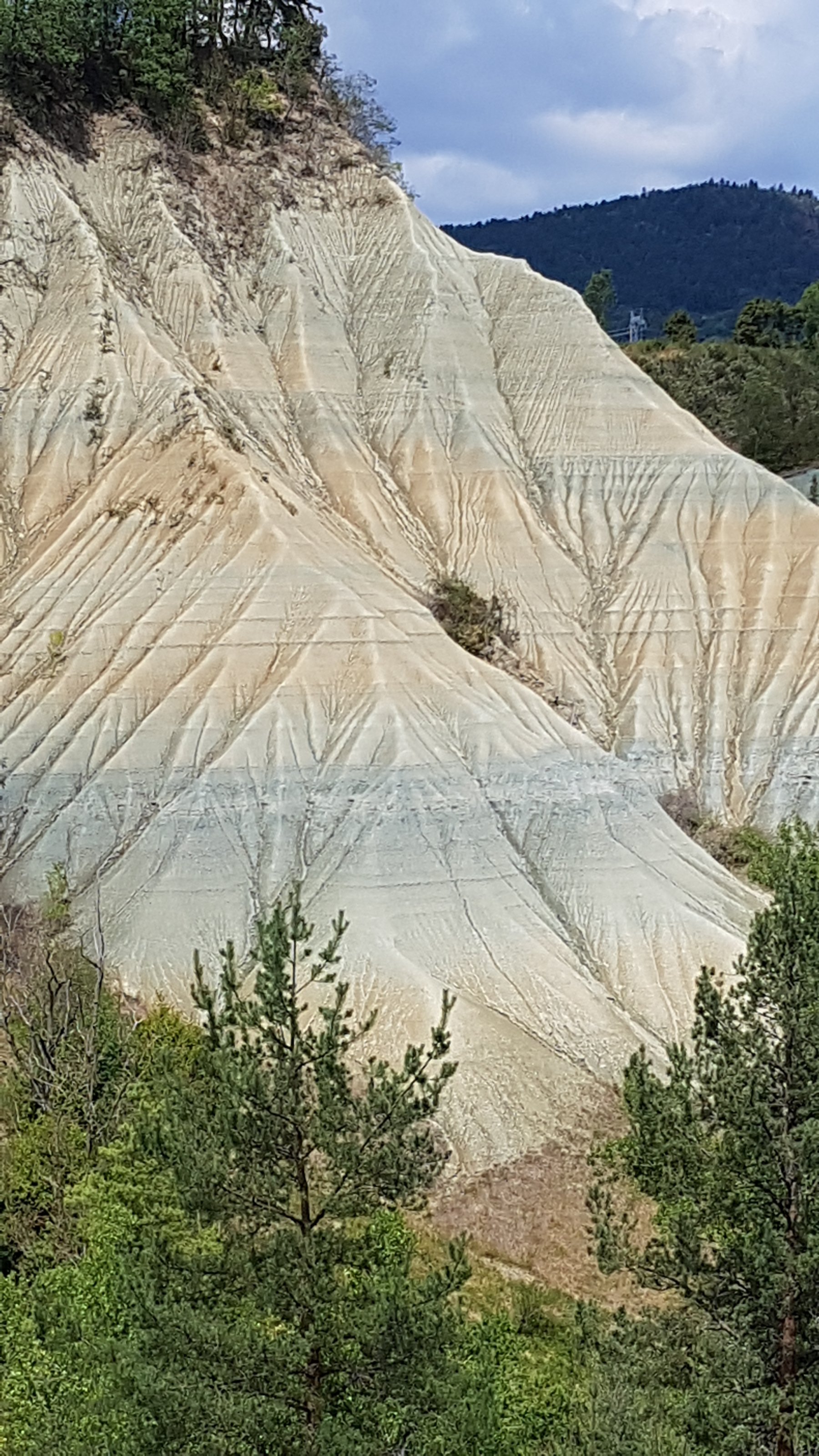 20220815_142010.jpg