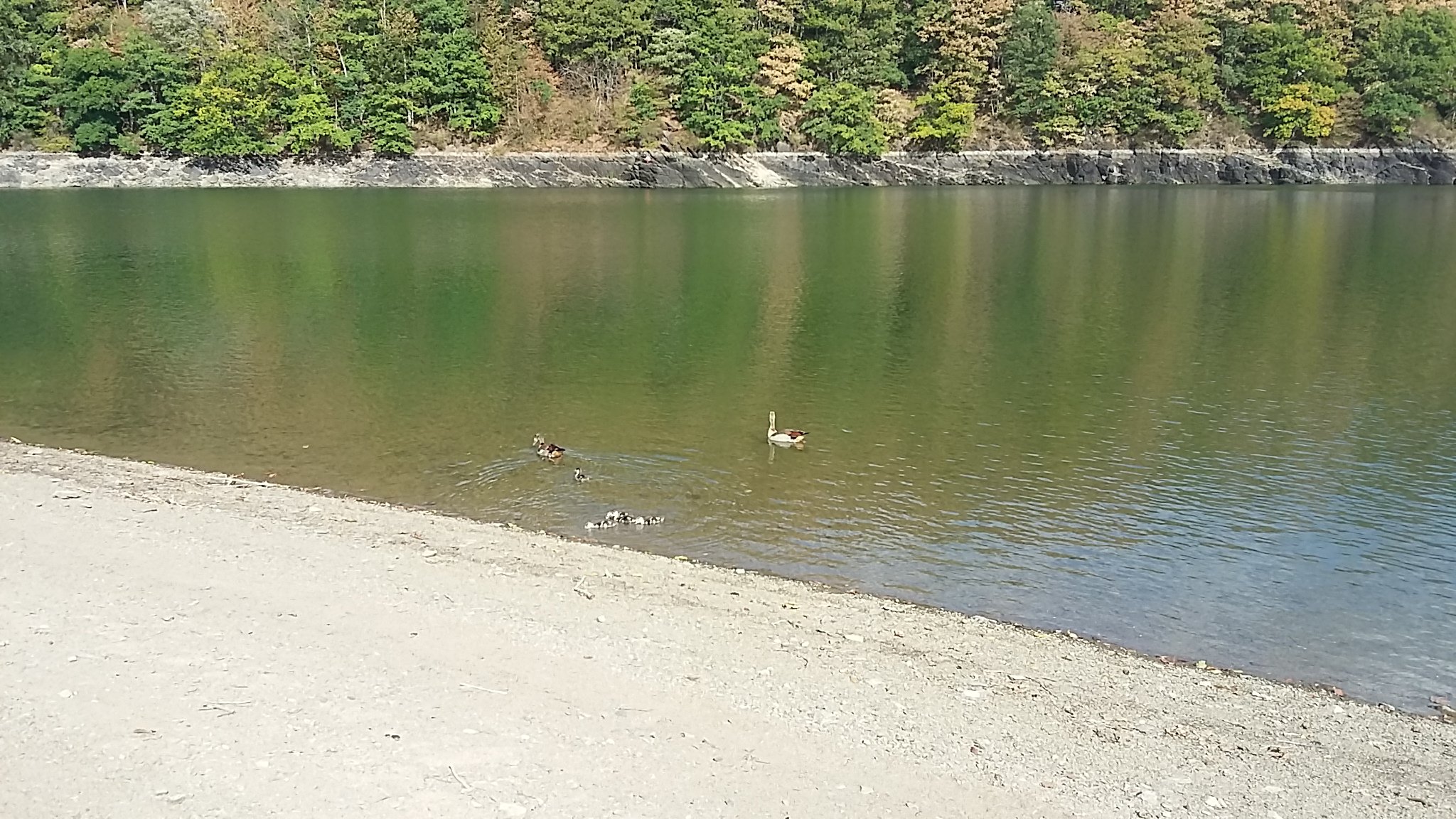 20220829_165155.jpg
