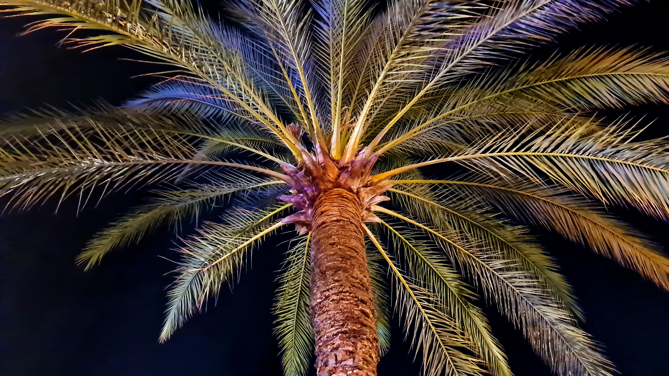 20220907_211014_Hotel Reine d'Azur, Cap Martin (Menton)_JS.jpg