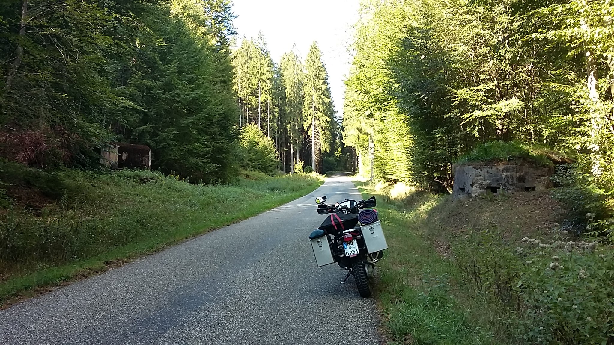 20220911_162547.jpg