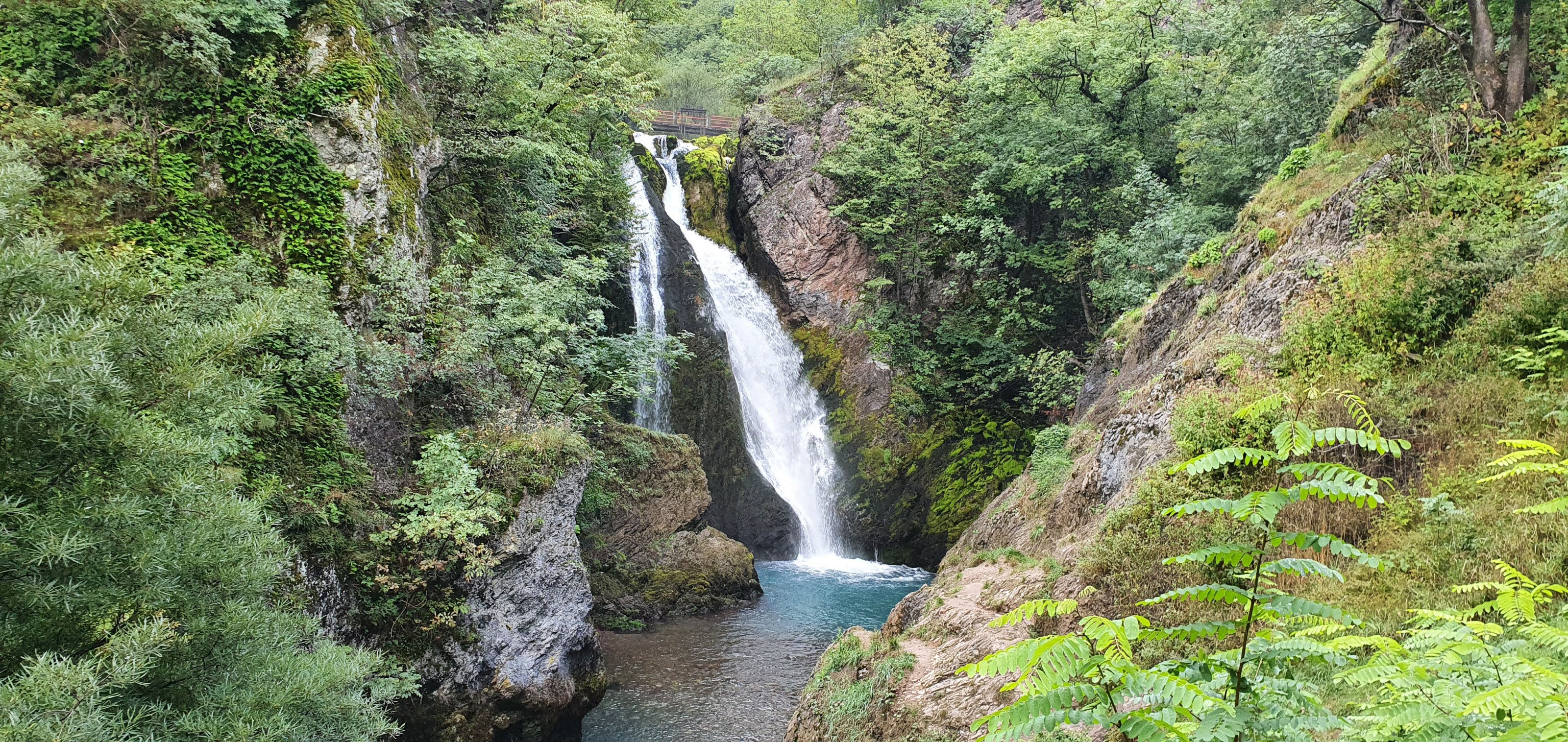20220912_075845.jpg